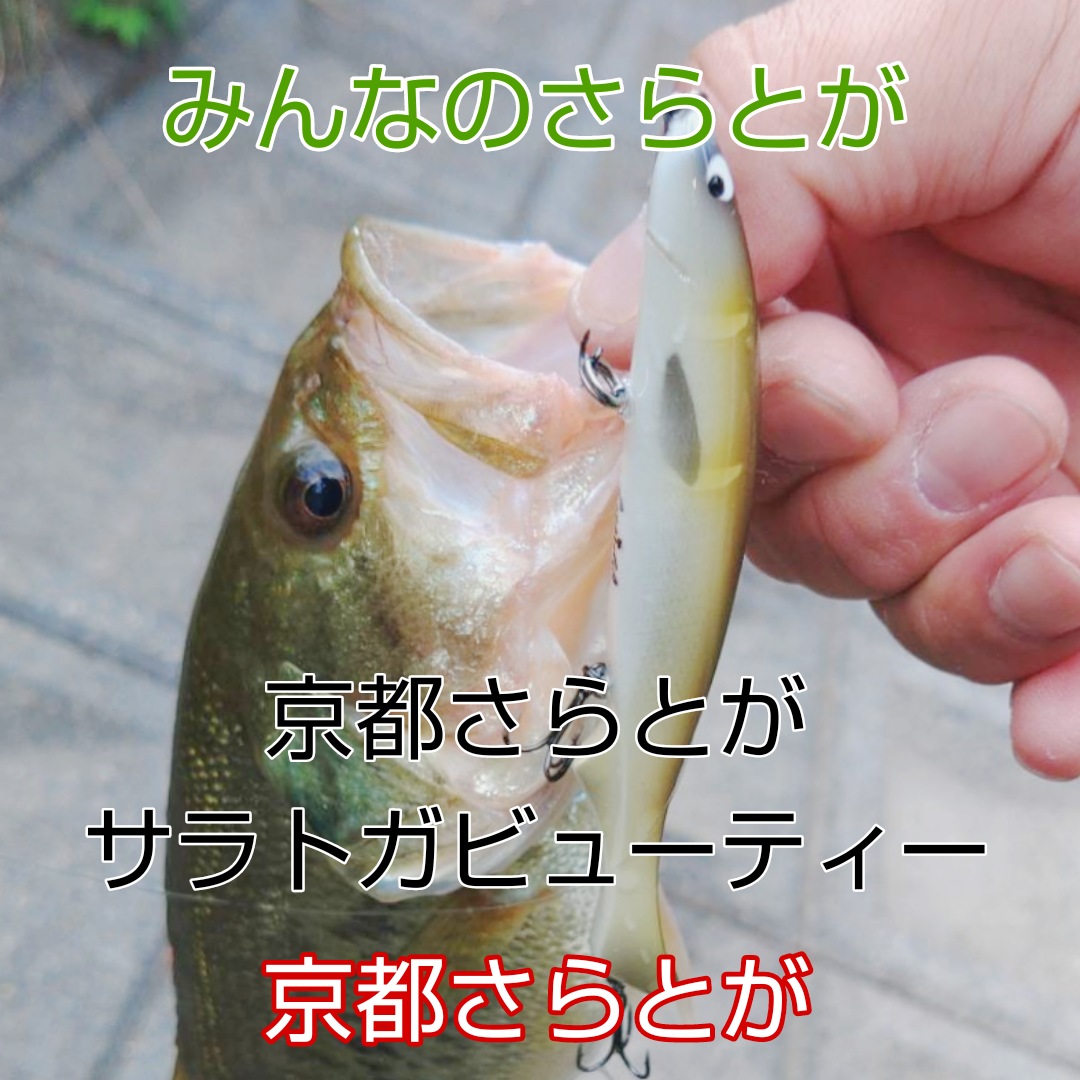 みんなのさらとが 8月30日更新