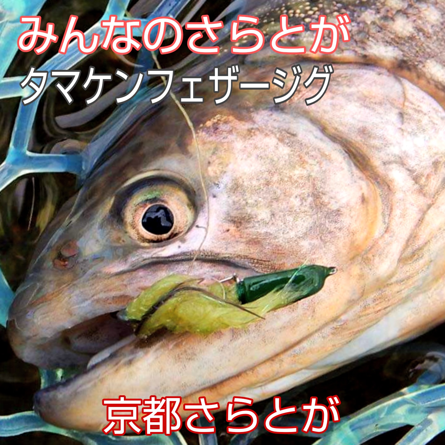 みんなのさらとが1月28日更新