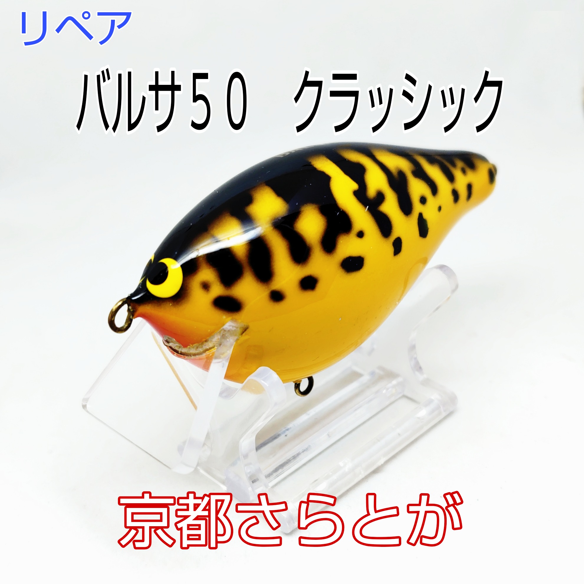 さらとが通信　6月13日更新