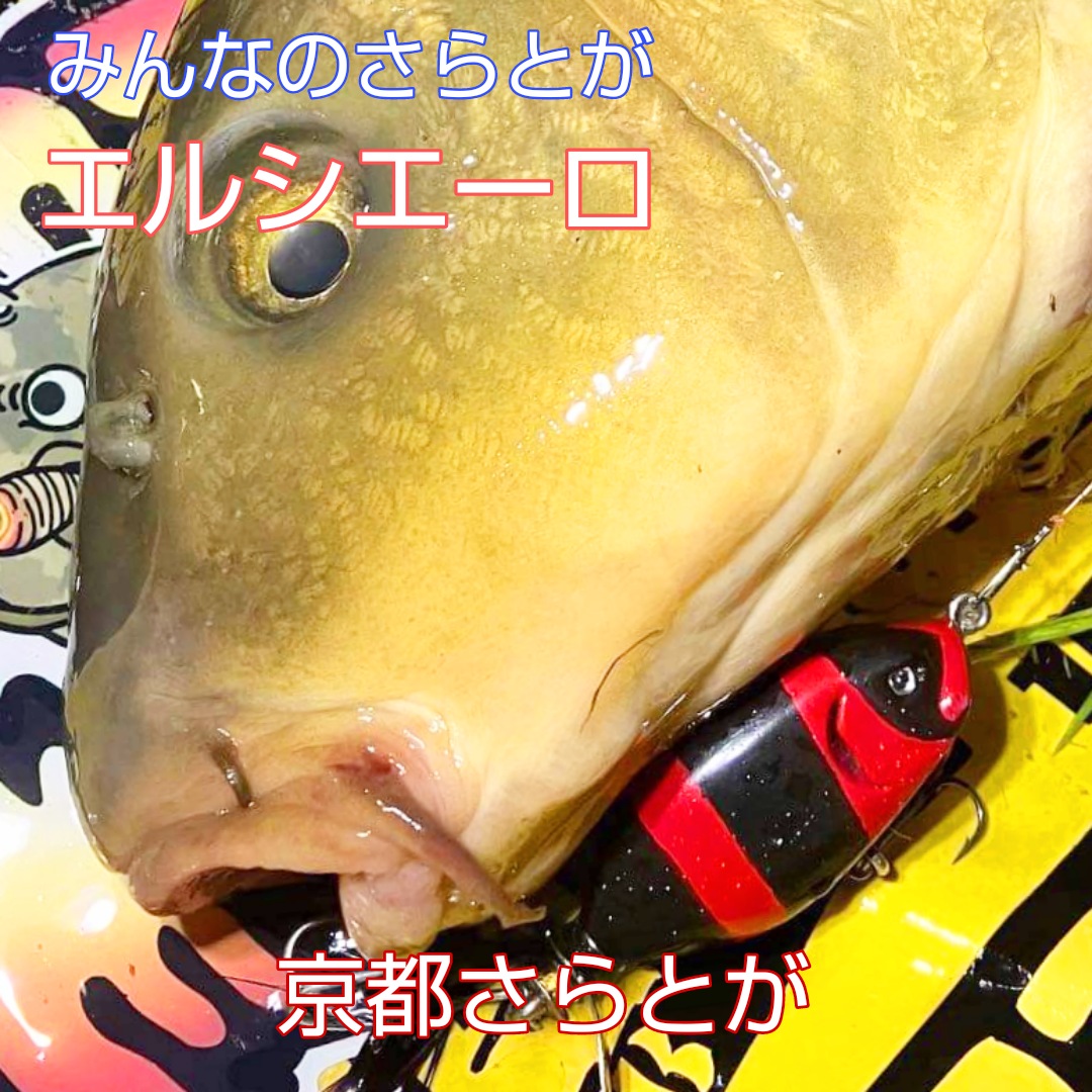 みんなのさらとが5月31日更新