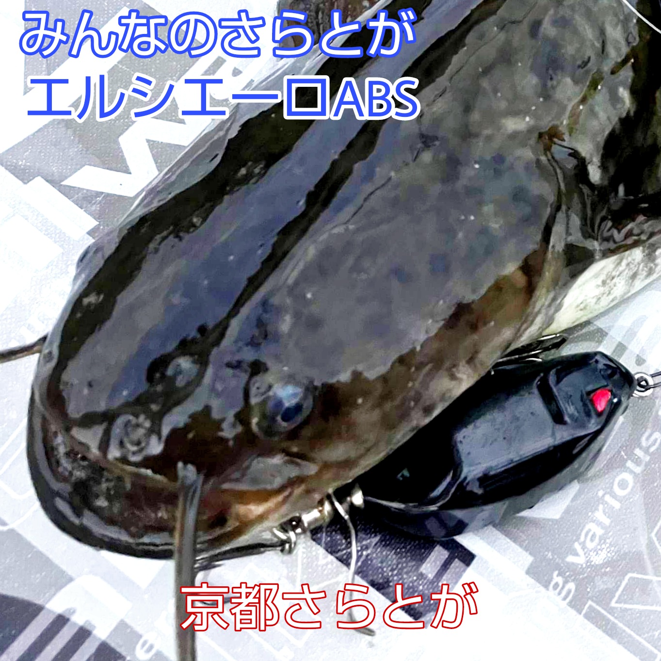 みんなのさらとが10月18日更新