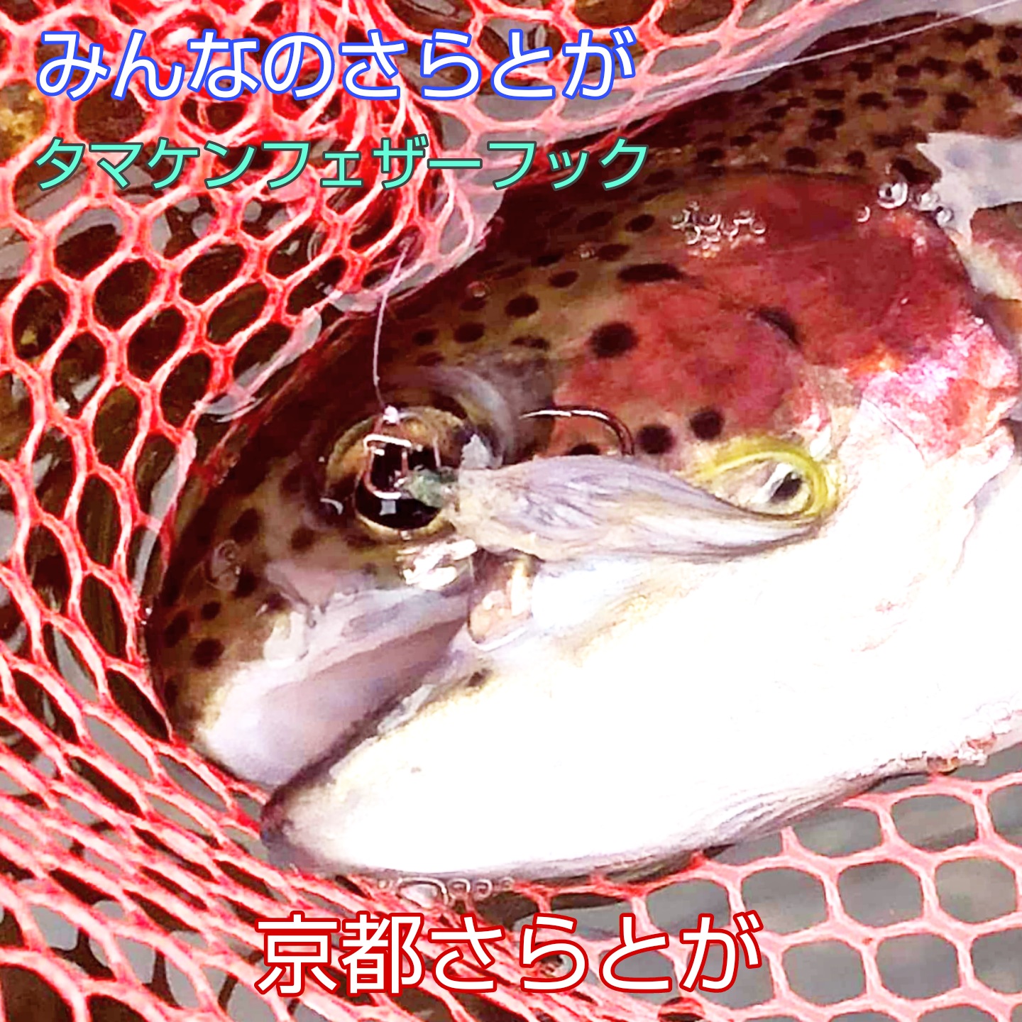 みんなのさらとが3月24日更新