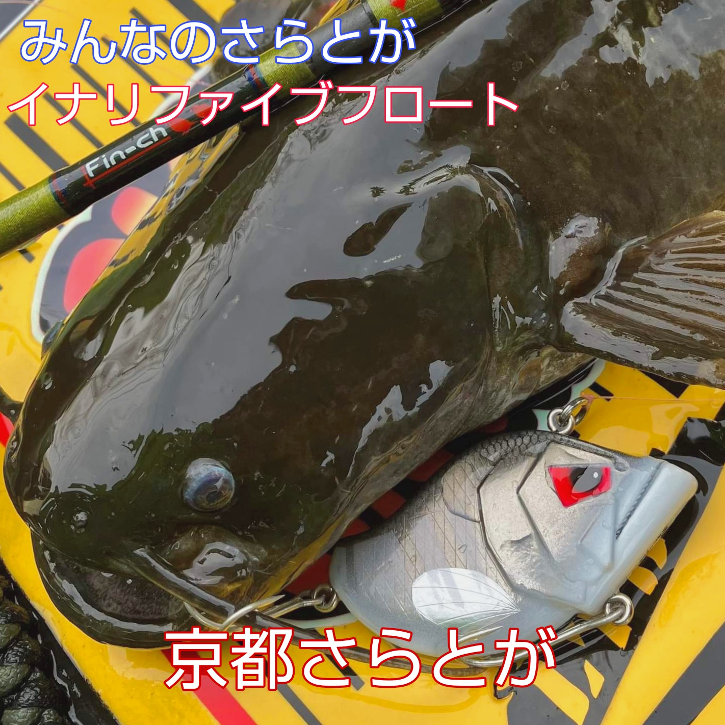 みんなのさらとが6月4日更新