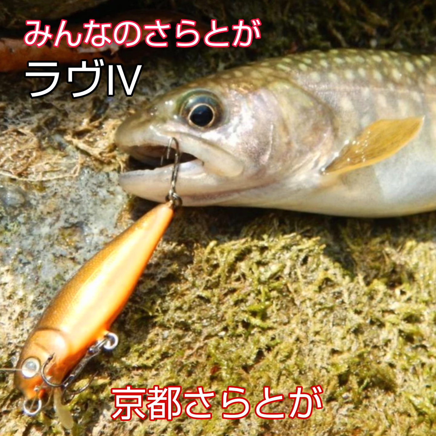 みんなのさらとが4月7日更新