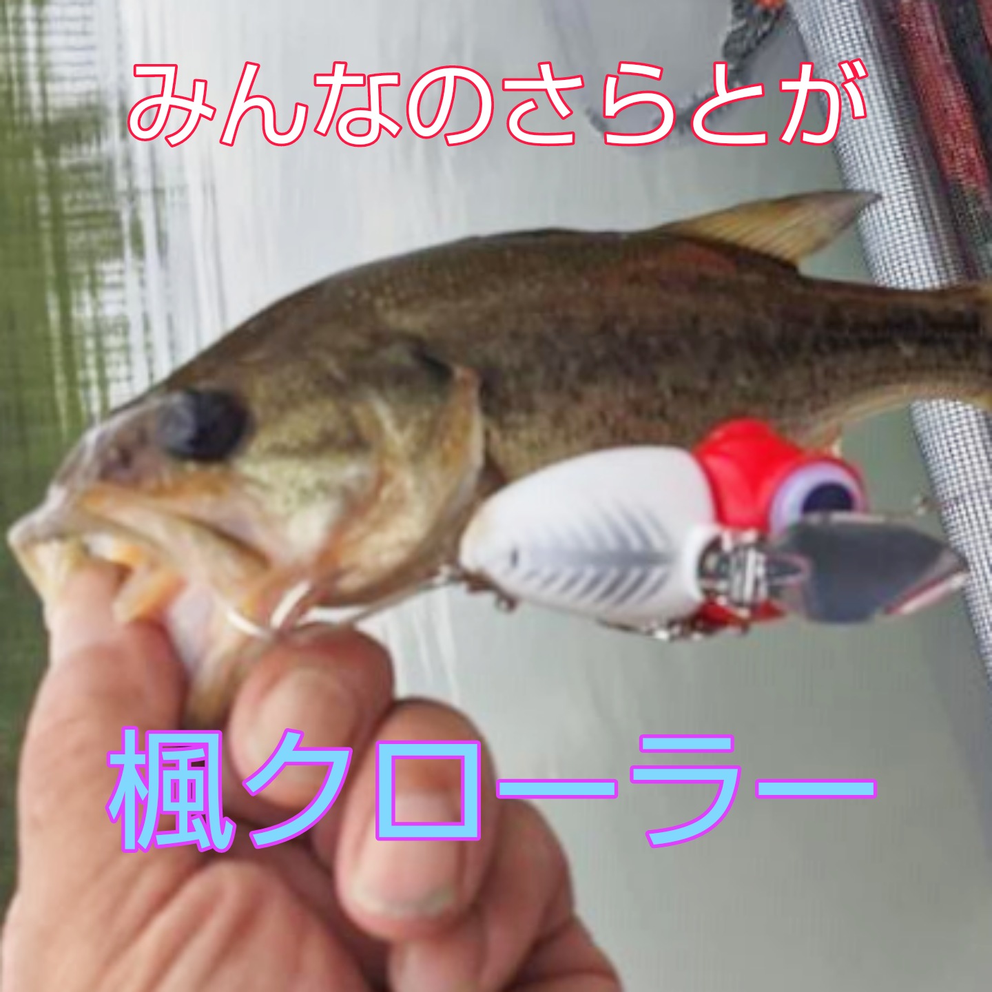 みんなのさらとが9月4日更新