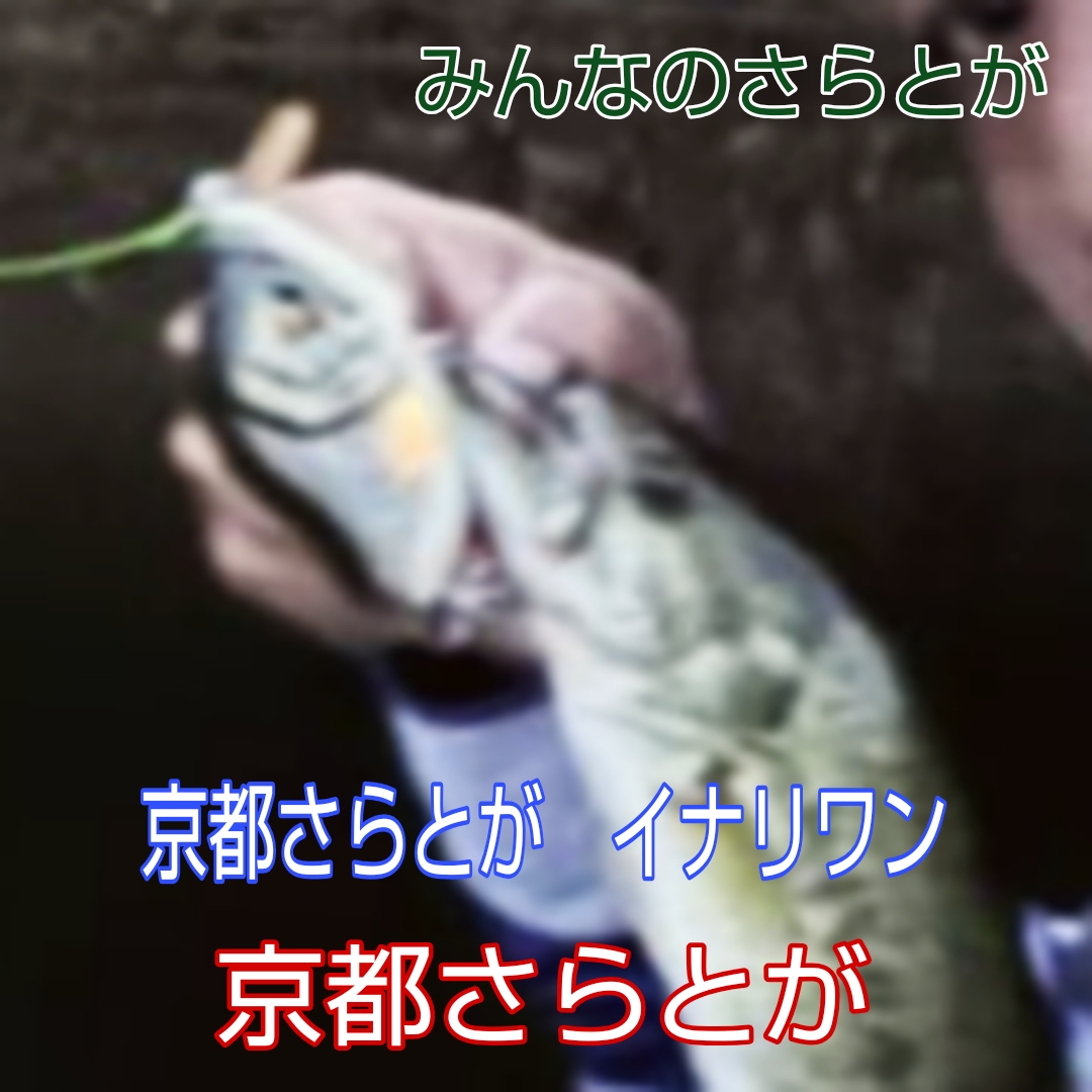 さらとが通信　7月28日更新
