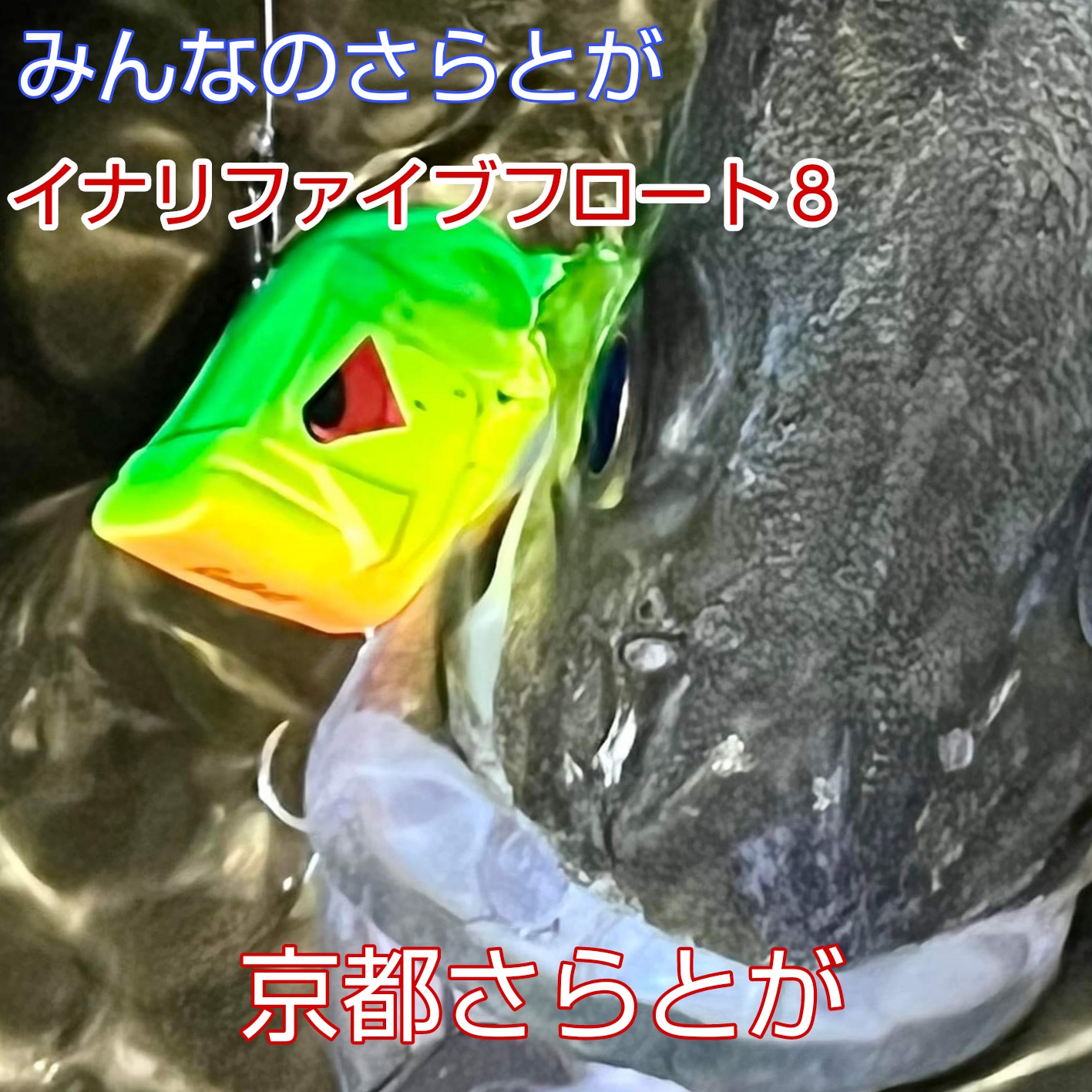 みんなのさらとが8月23日更新