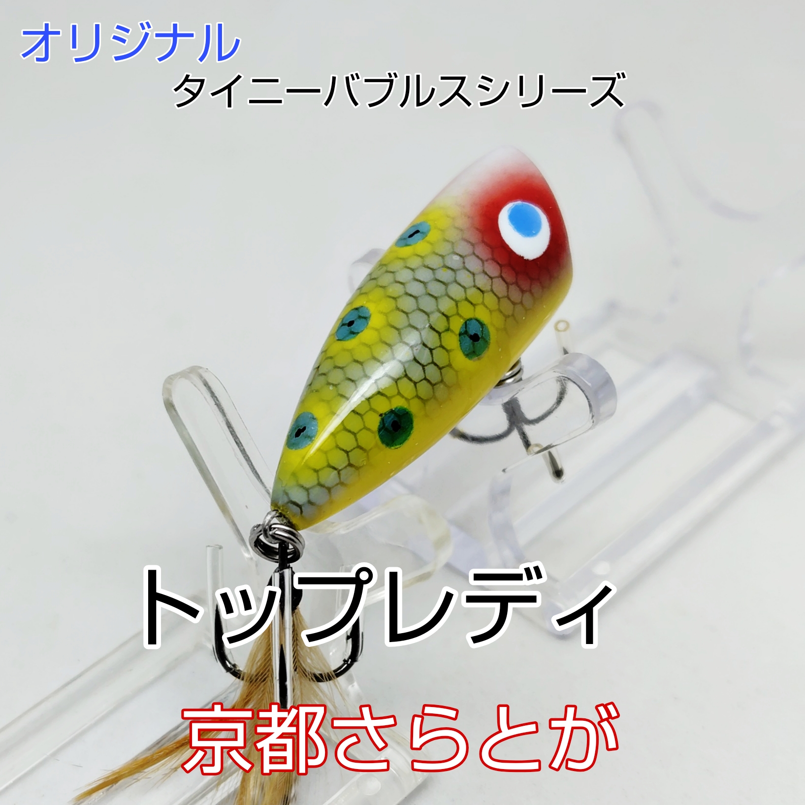 さらとが通信　1月5日更新