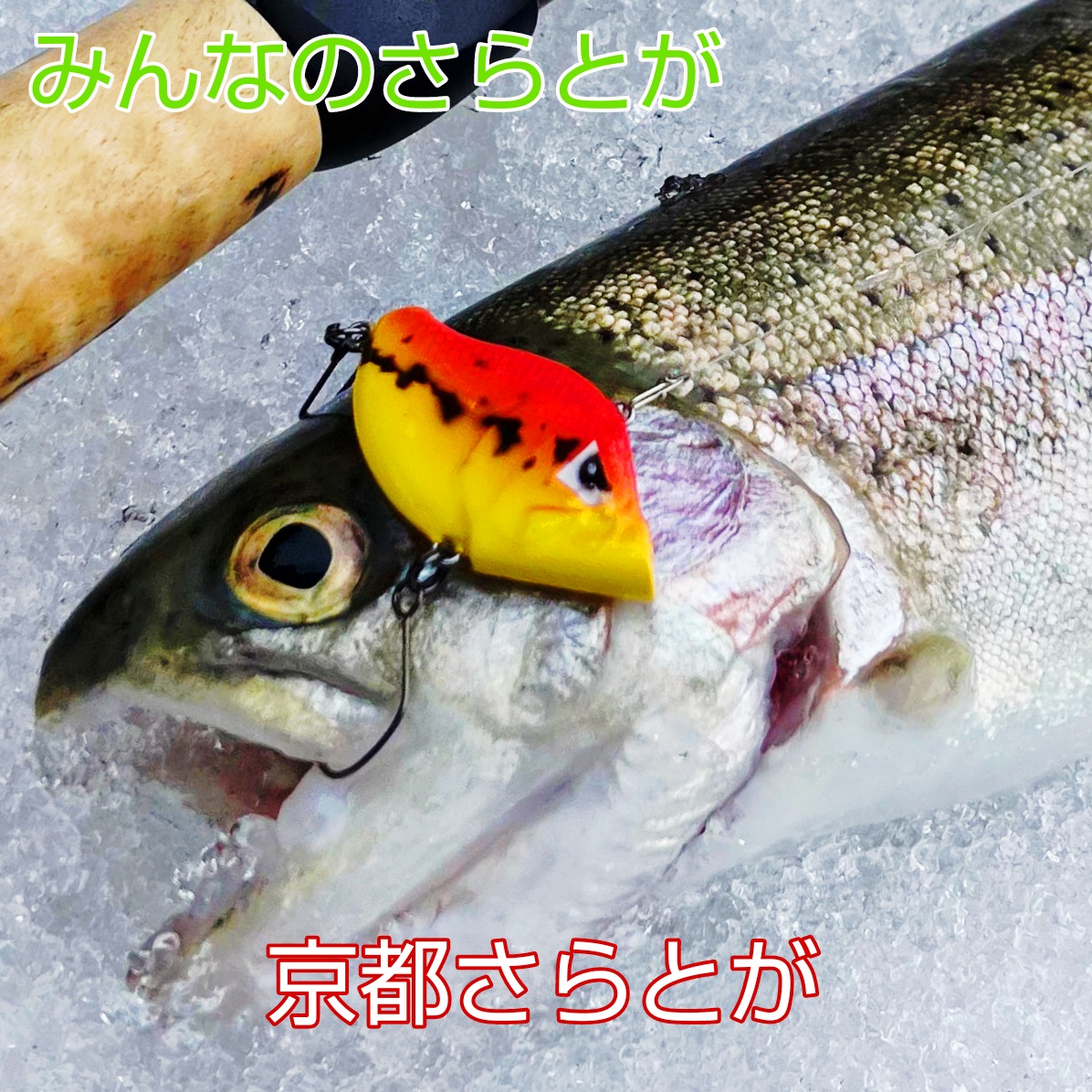 みんなのさらとが2月9日更新