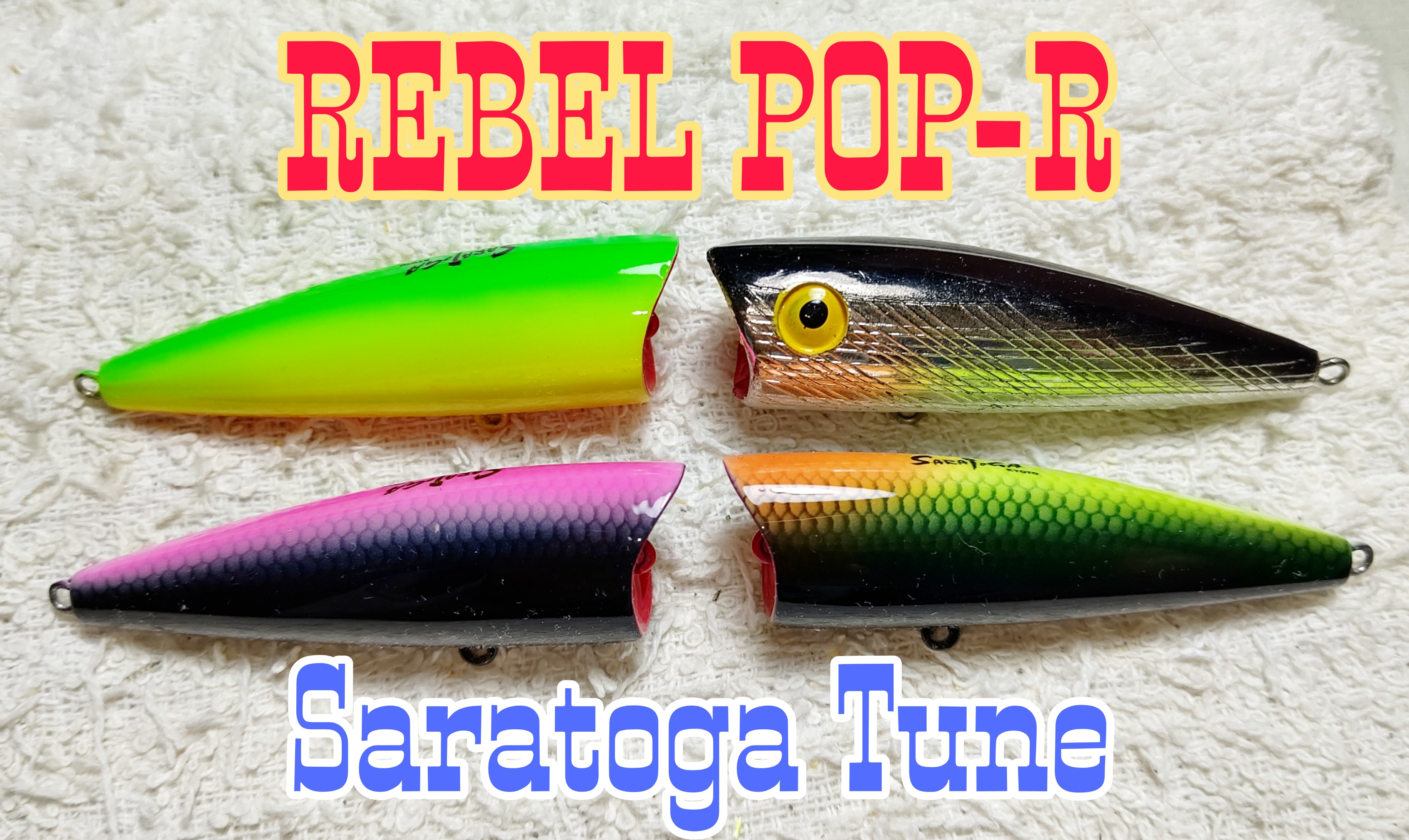 さらとが通信11月8日更新