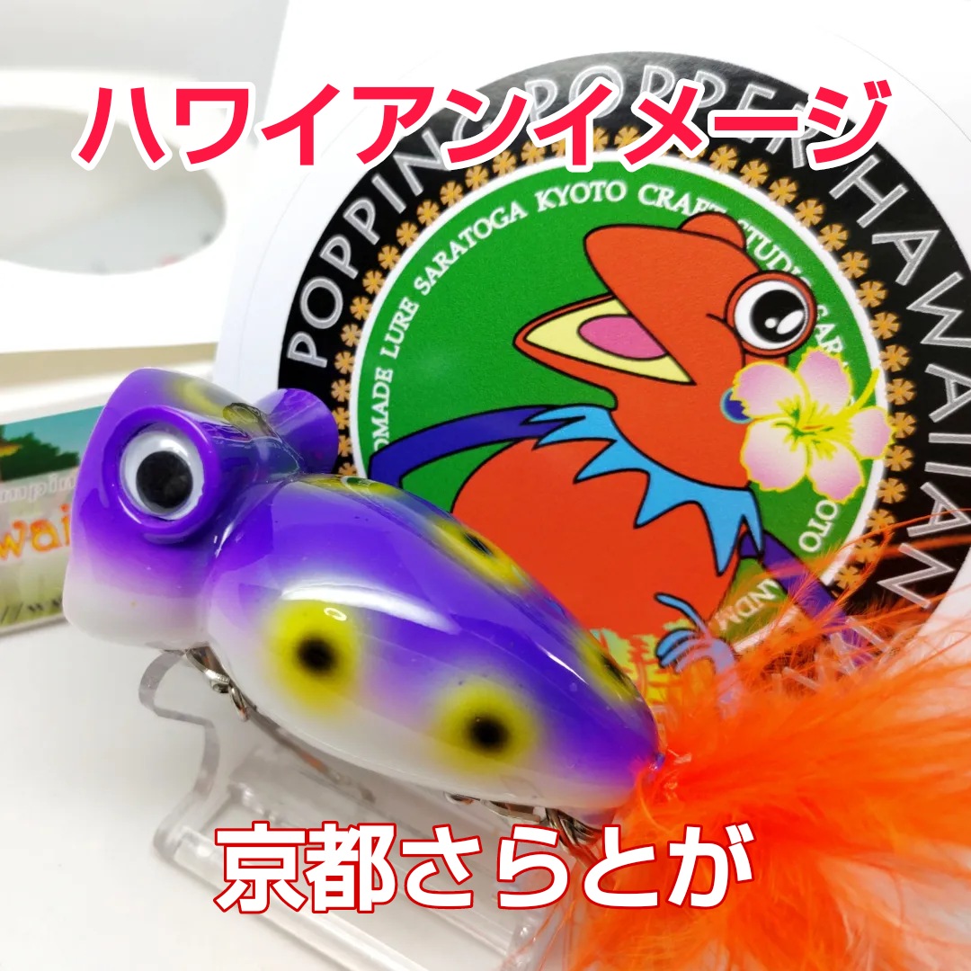 さらとが通信1月12日更新