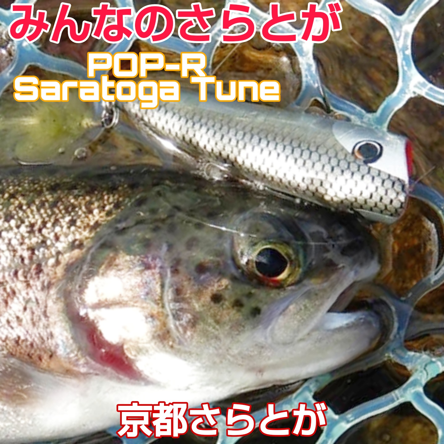 みんなのさらとが12月13日更新