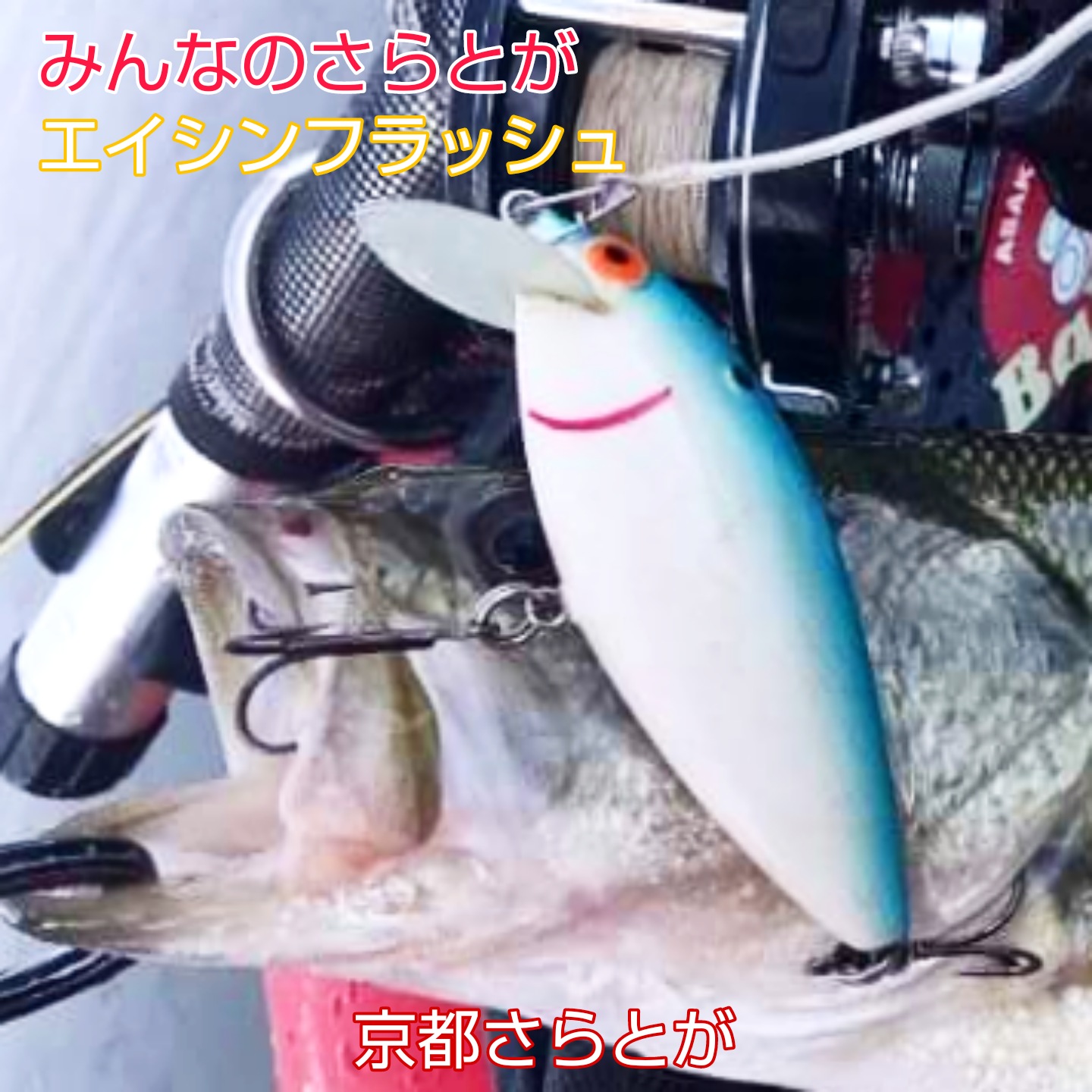 みんなのさらとが10月2日更新