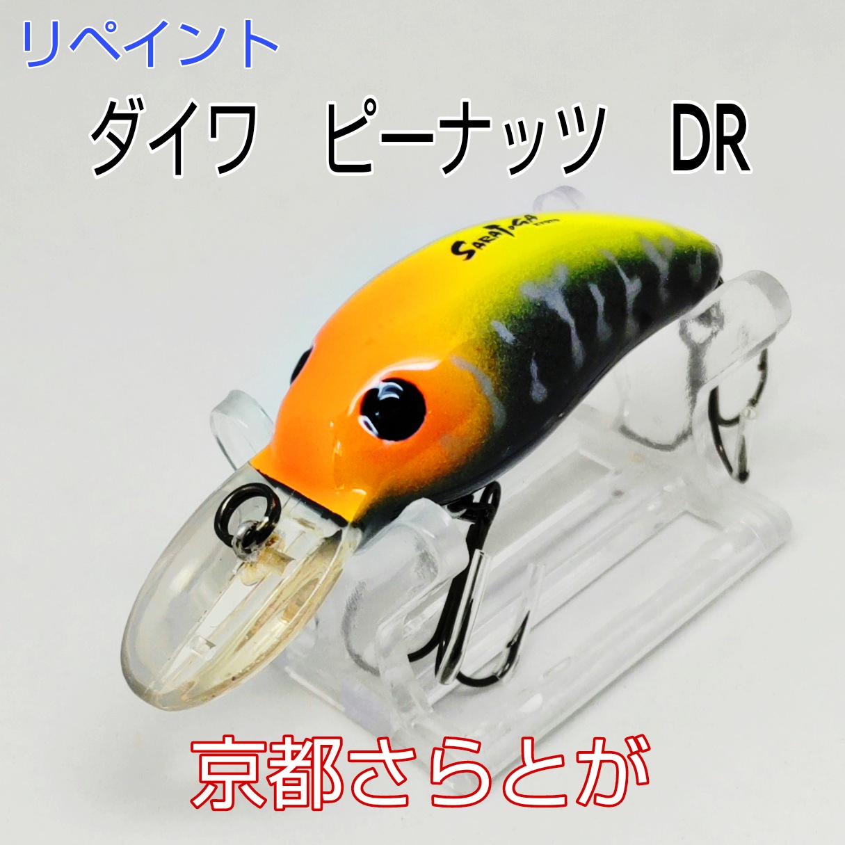さらとが通信　4月1日更新