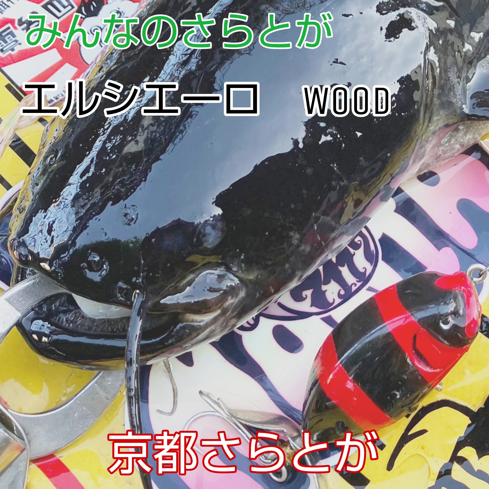 みんなのさらとが5月25日更新