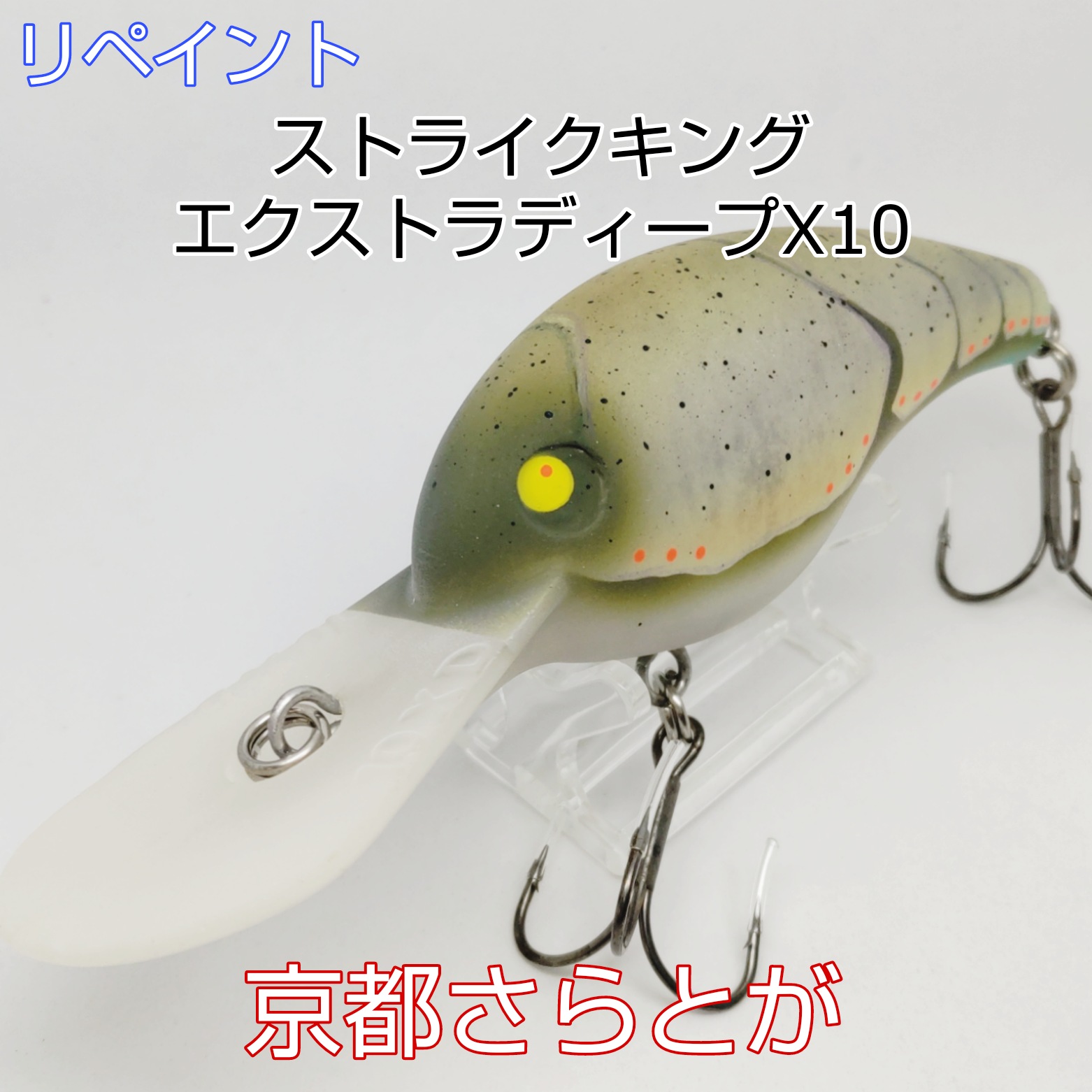 さらとが通信2月16日更新