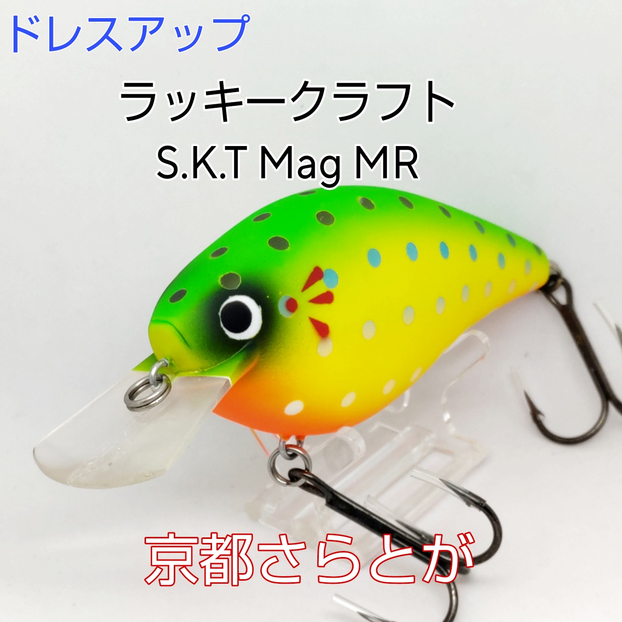 さらとが通信11月9日更新