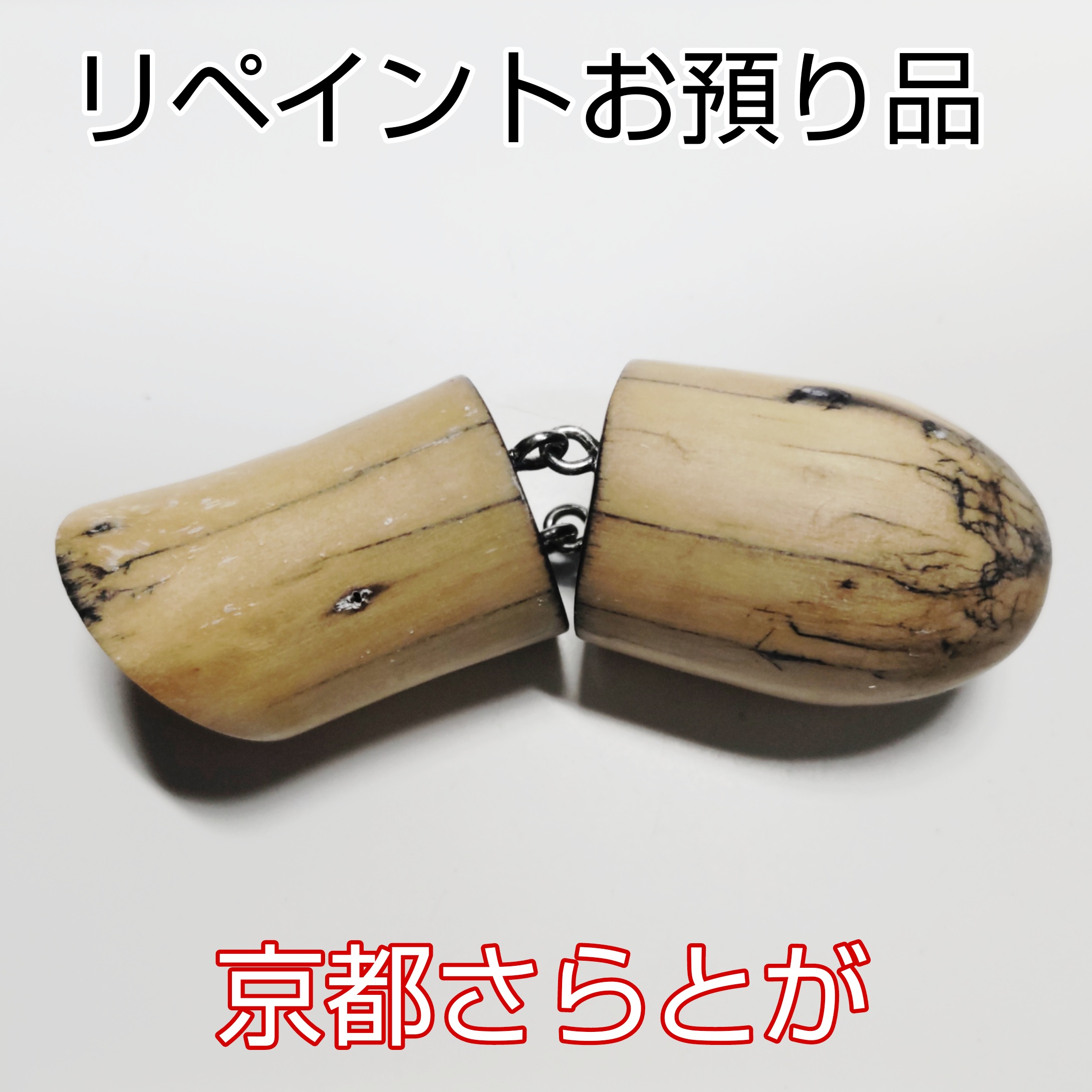 さらとが通信1月16日更新