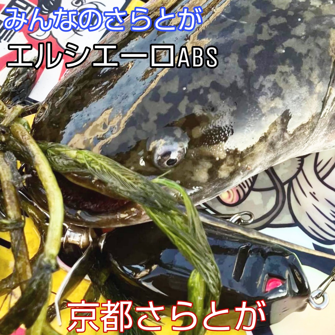 みんなのさらとが9月16日更新