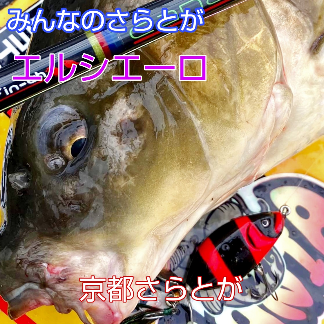 みんなのさらとが8月5日更新