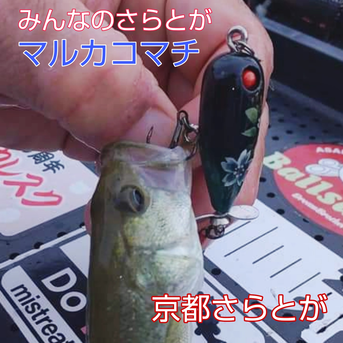 さらとが通信(みんなのさらとが)8月25日更新