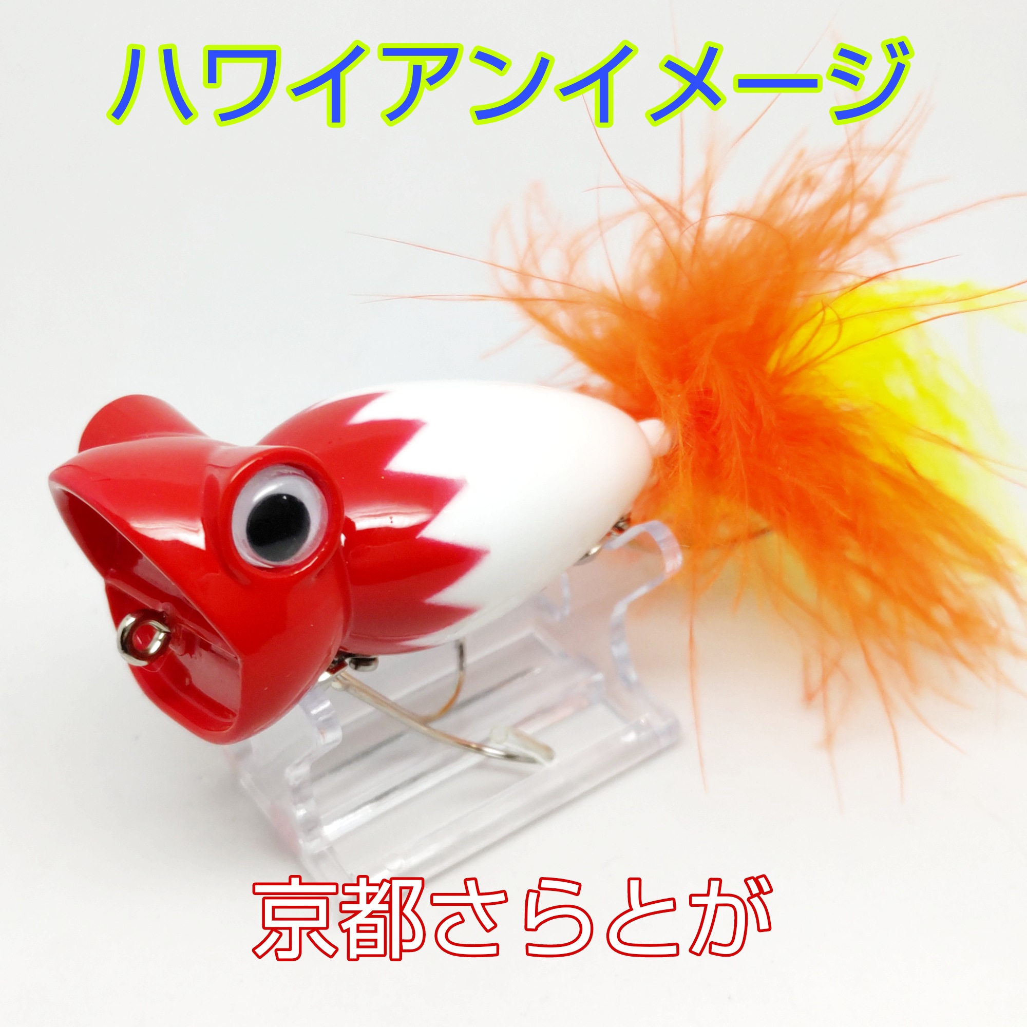 さらとが通信6月18日更新