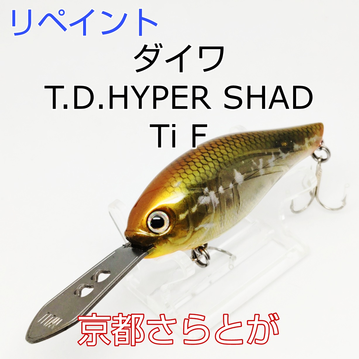 さらとが通信3月20日更新