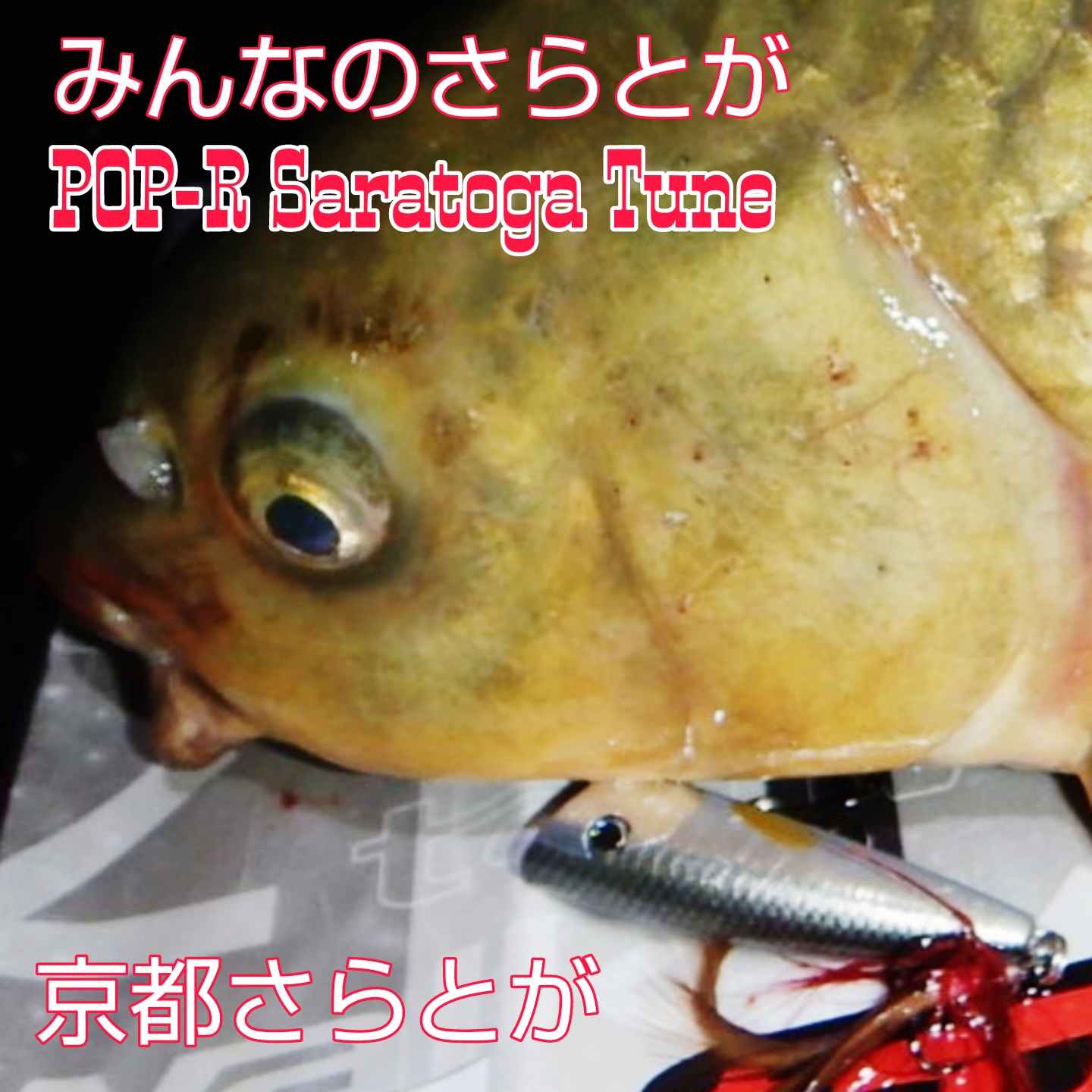 さらとが通信(みんなのさらとが)8月20日更新