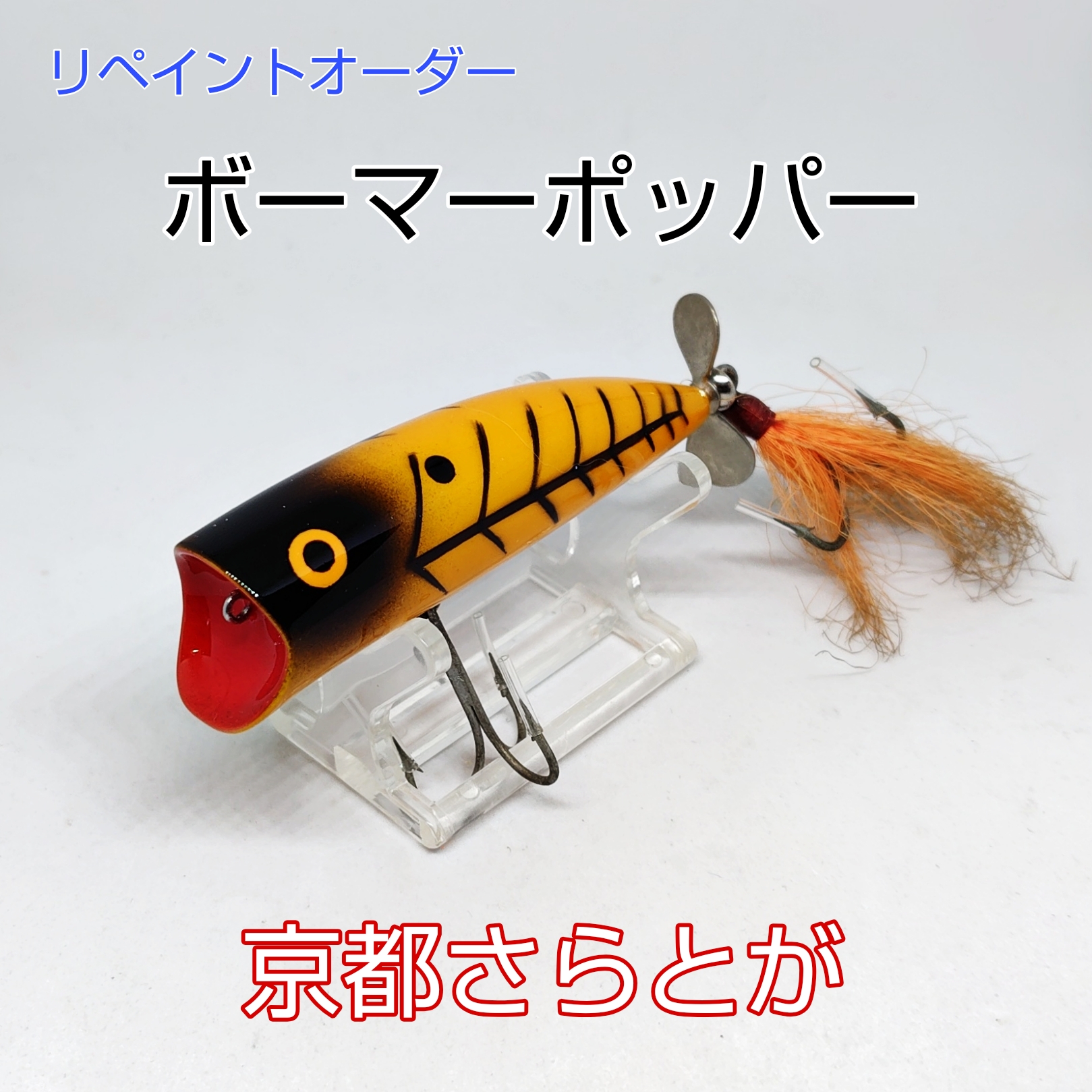 さらとが通信　2月24日更新