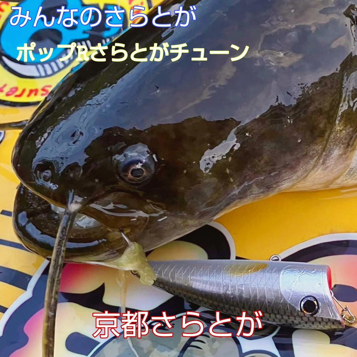 みんなのさらとが5月29日更新