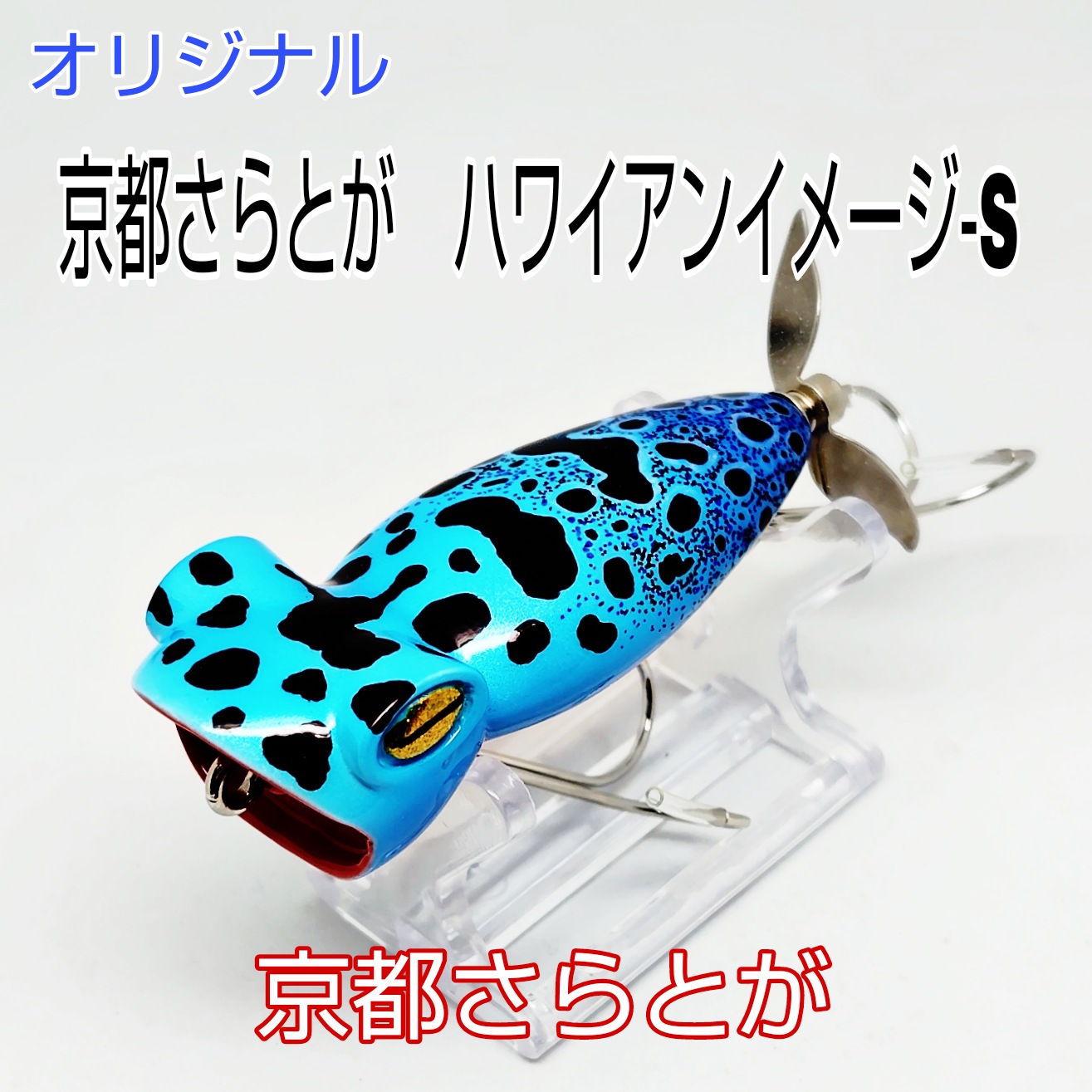 さらとが通信　5月25日更新