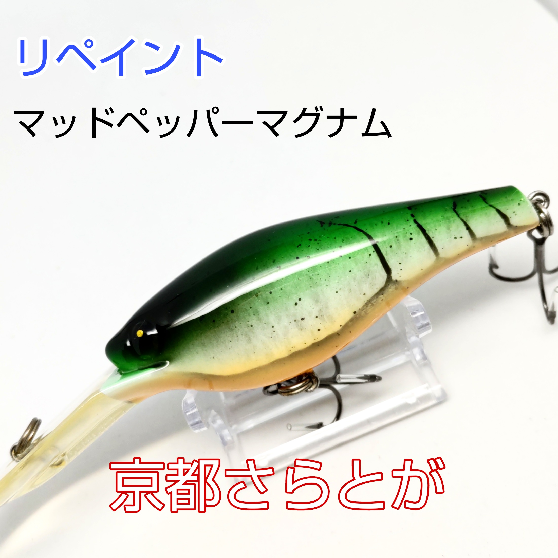 さらとが通信10月29日更新