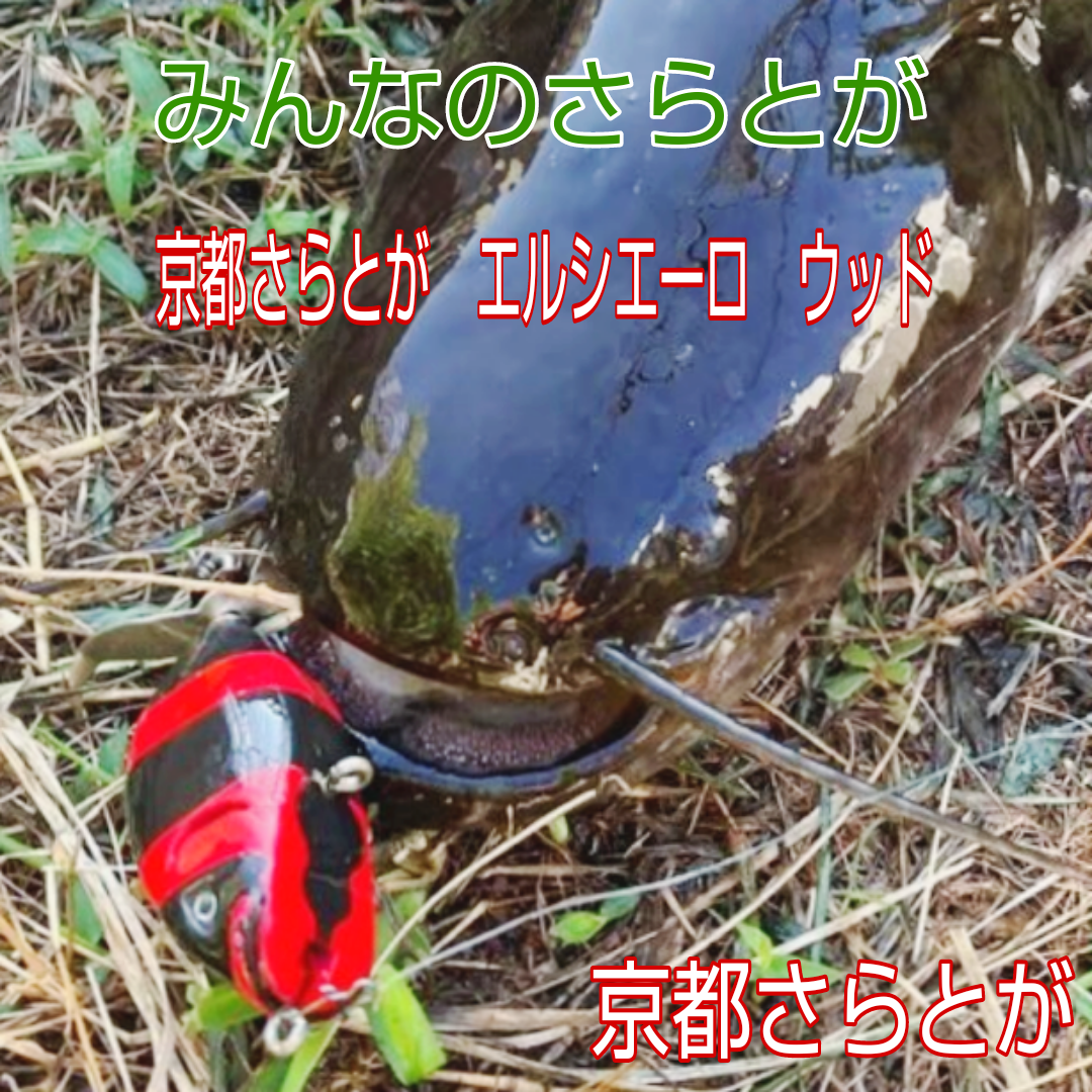 みんなのさらとが 8月28日更新