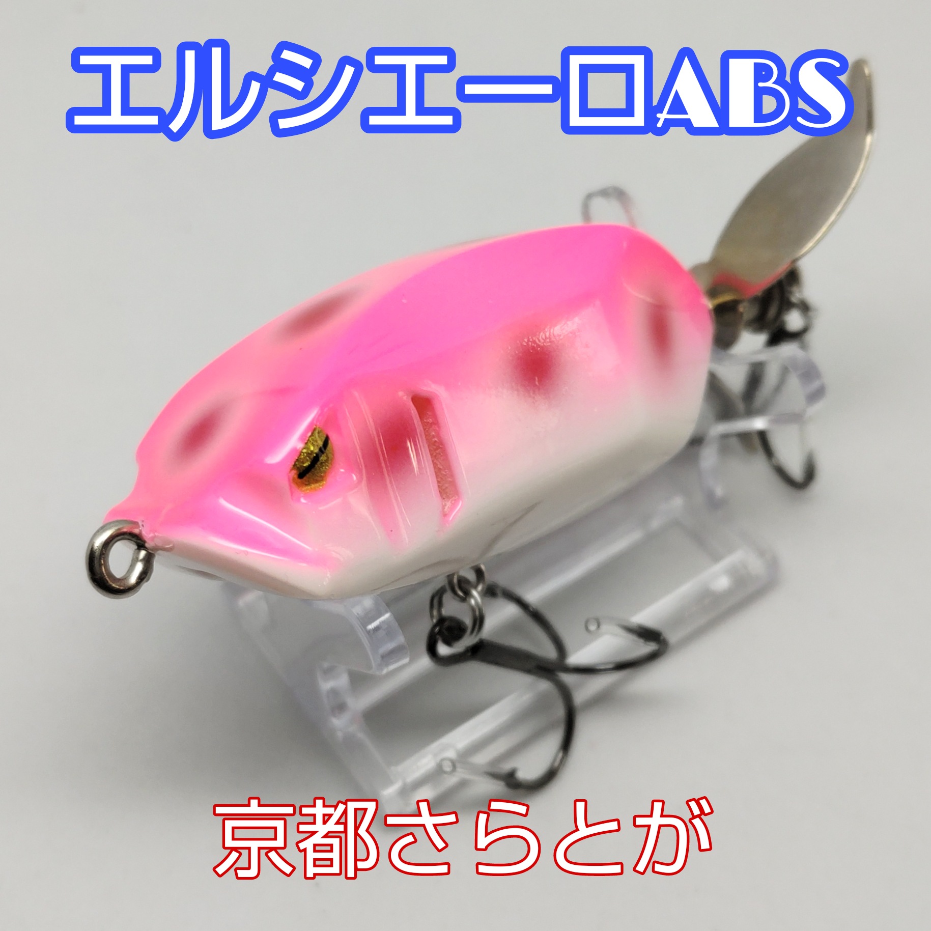 さらとが通信9月5日更新