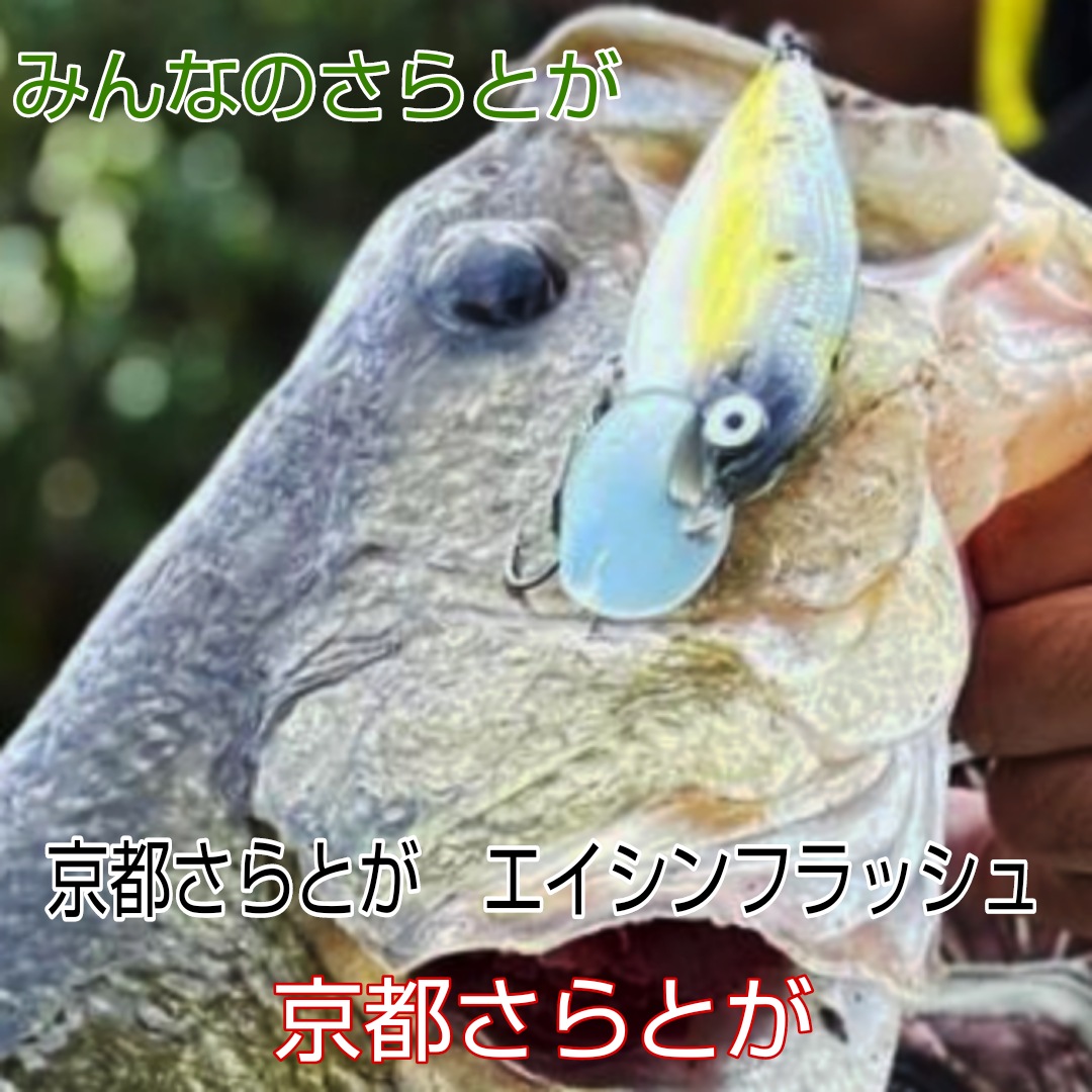 みんなのさらとが　9月25日更新