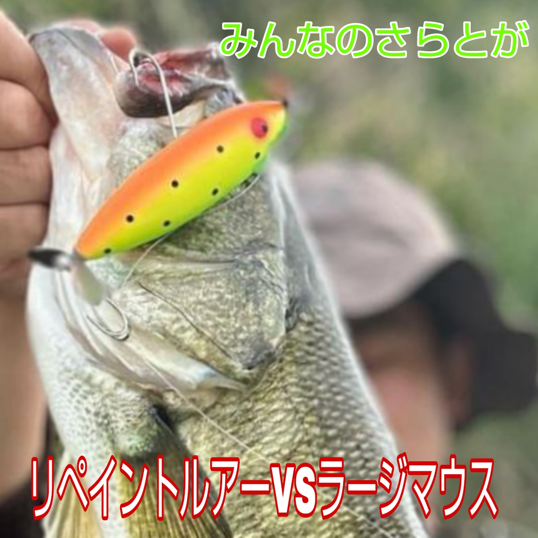 さらとが通信　5月25日更新