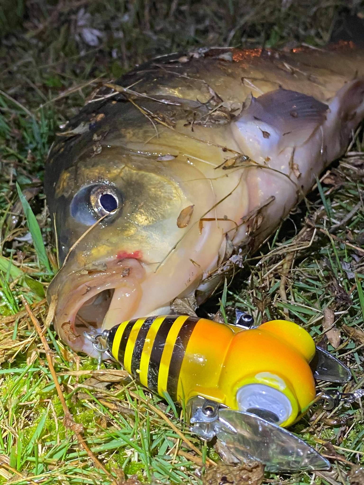 さらとが通信3月30日更新