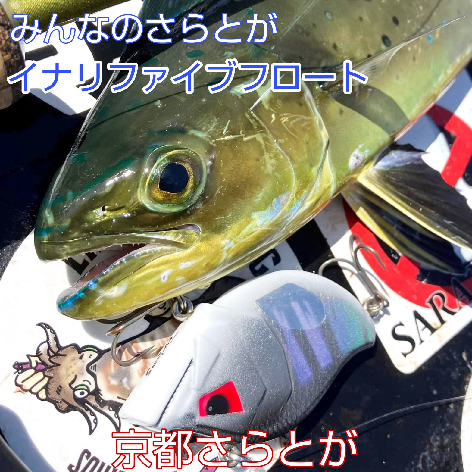 みんなのさらとが9月30日更新