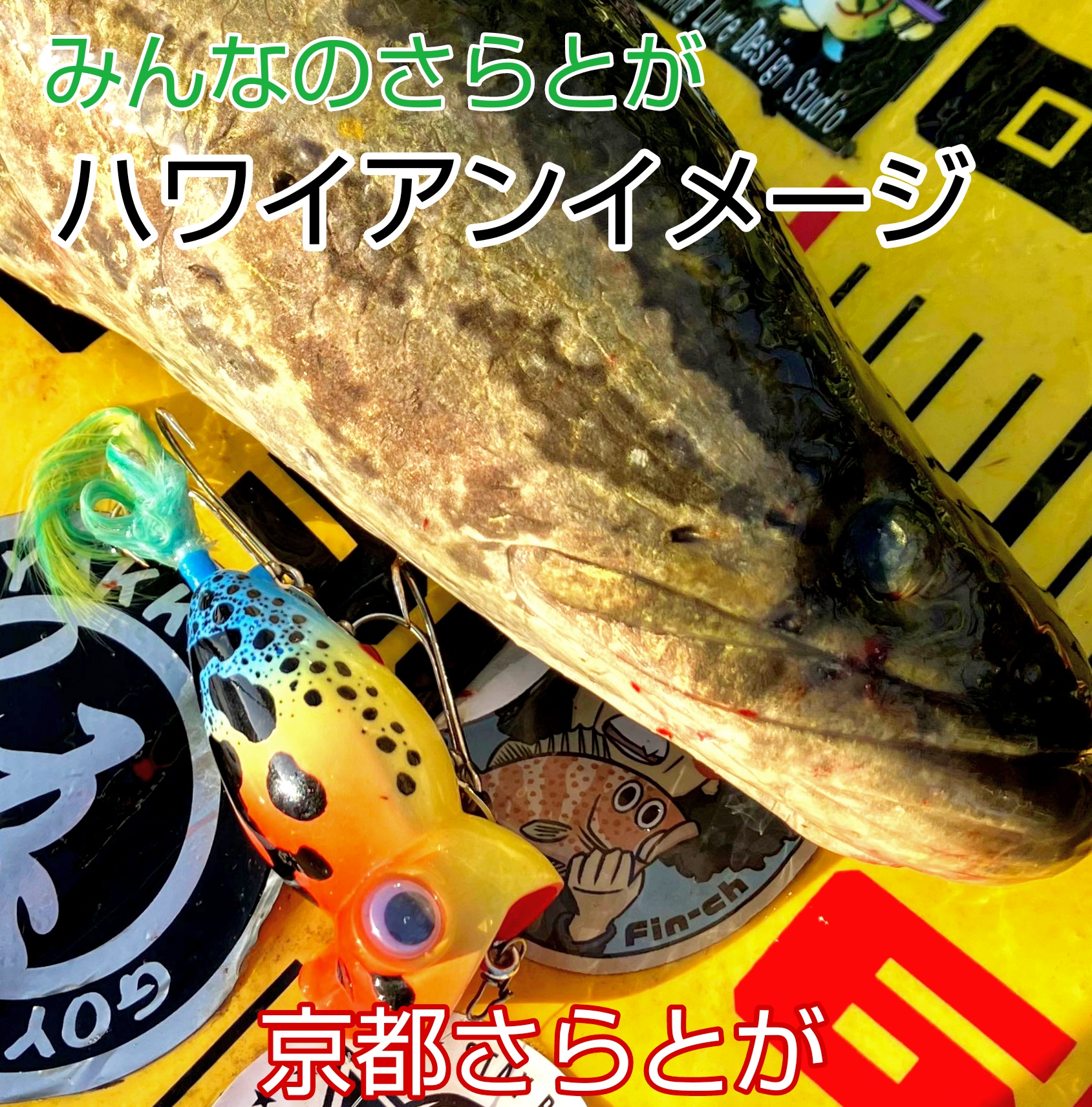 みんなのさらとが4月16日更新