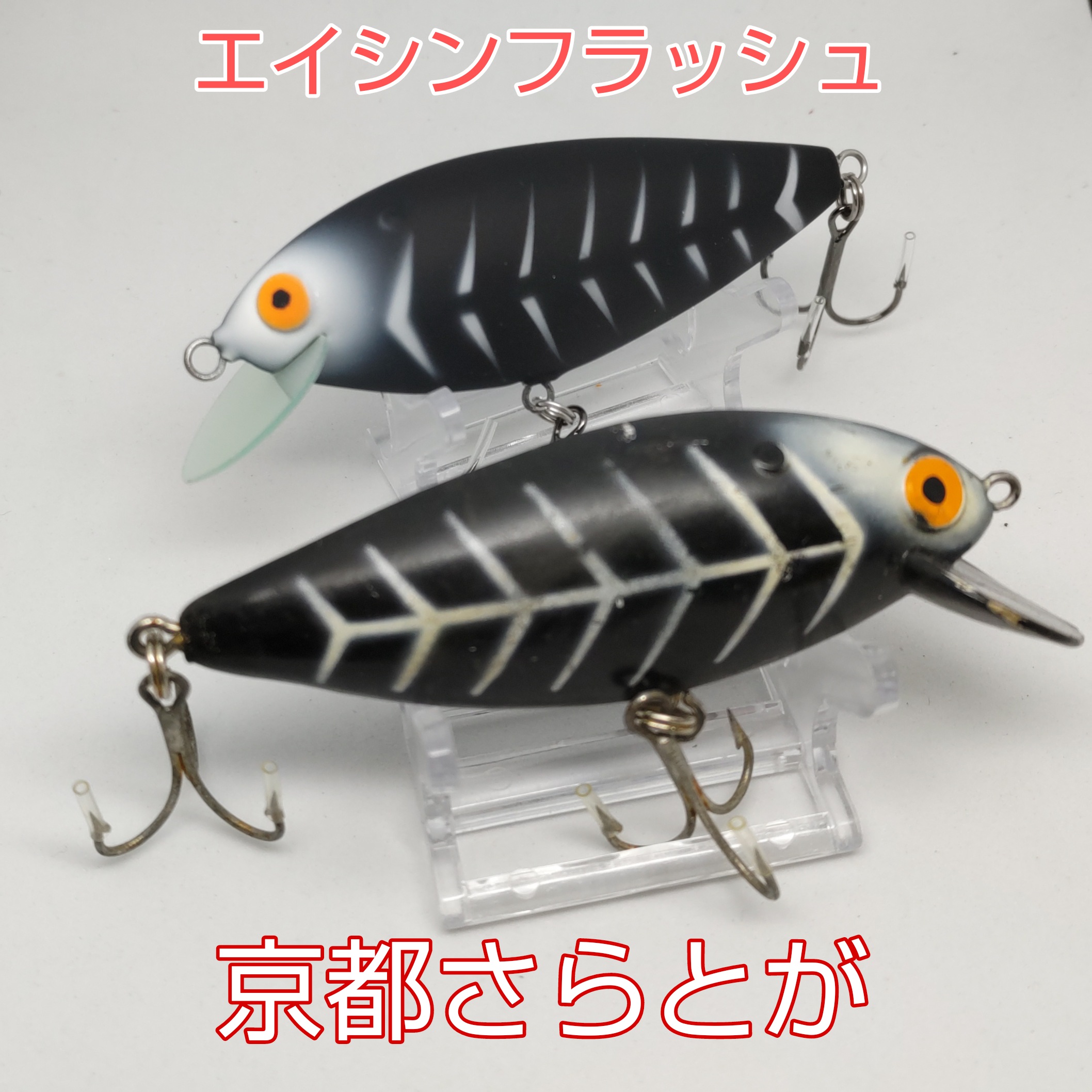 さらとが通信12月5日更新