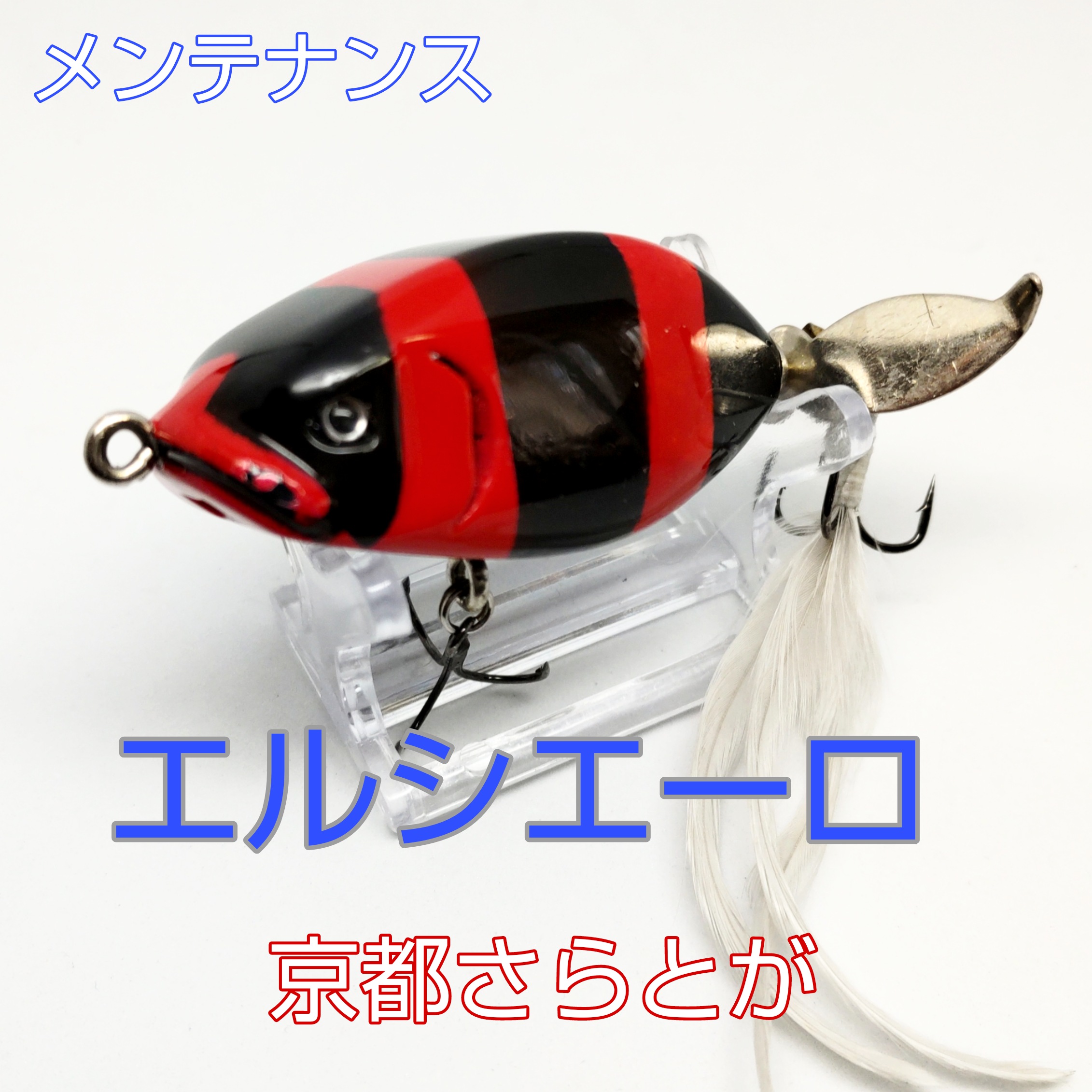 さらとが通信6月9日更新