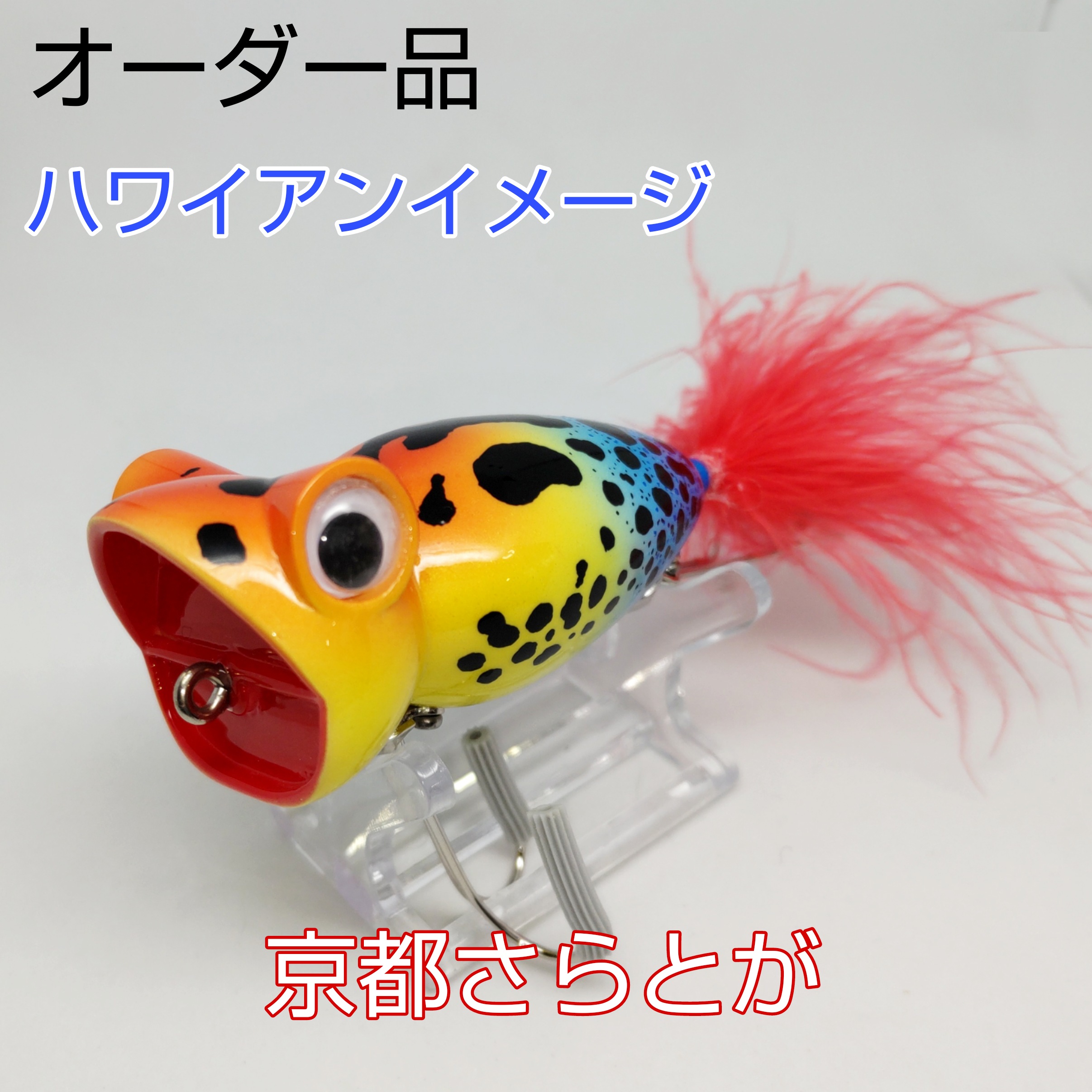 さらとが通信6月11日更新