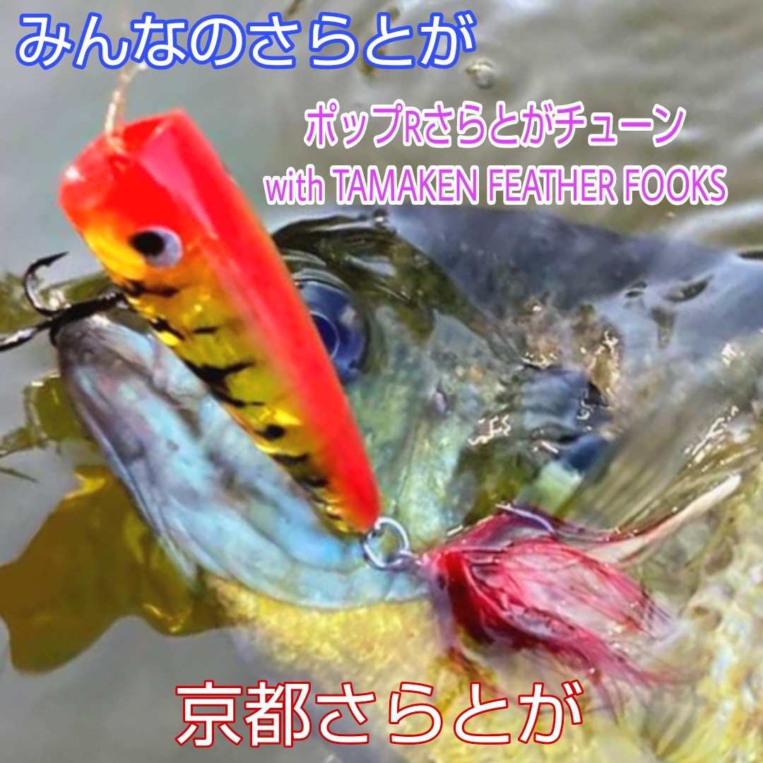 みんなのさらとが10月15日更新