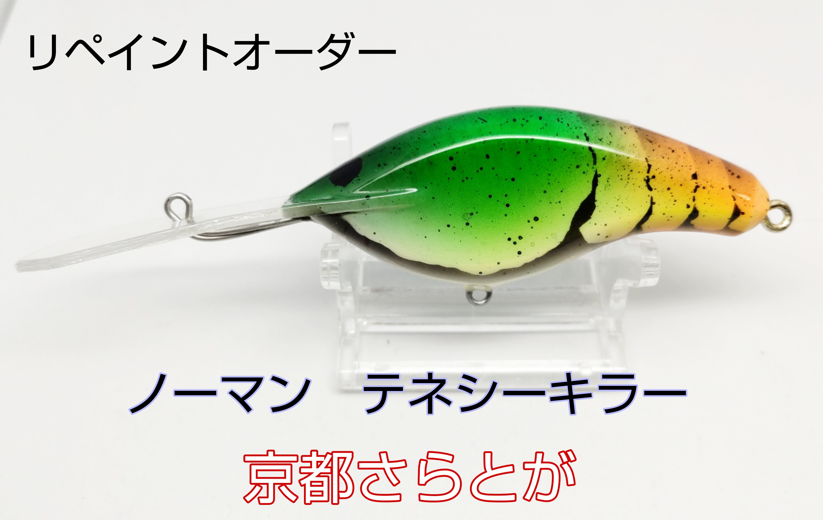 さらとが通信5月9日更新2