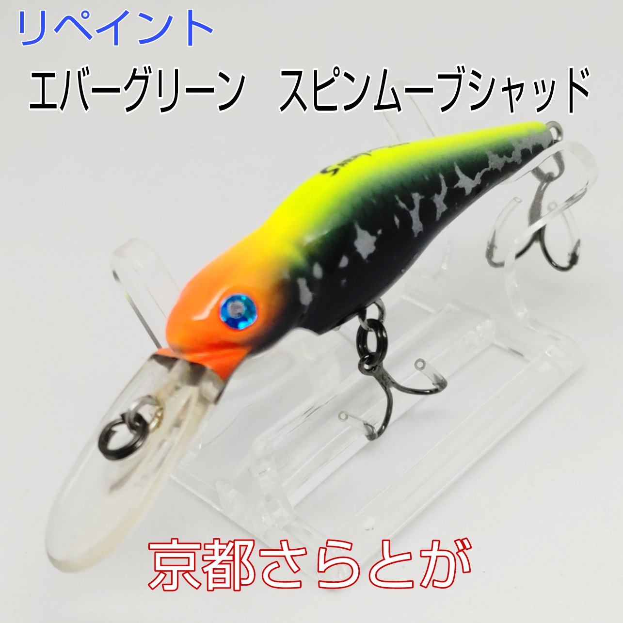 さらとが通信2月22日更新