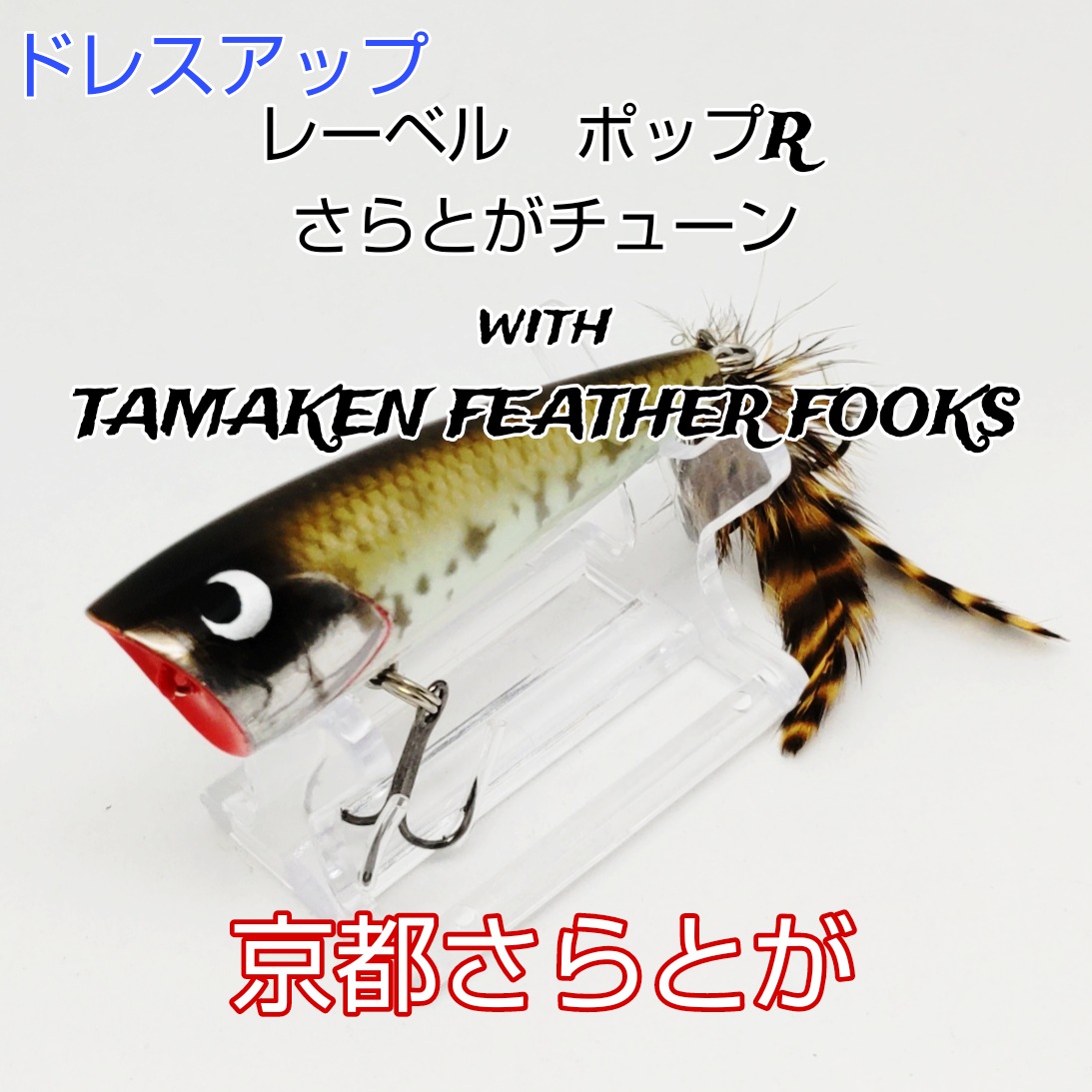 さらとが通信 10月6日更新