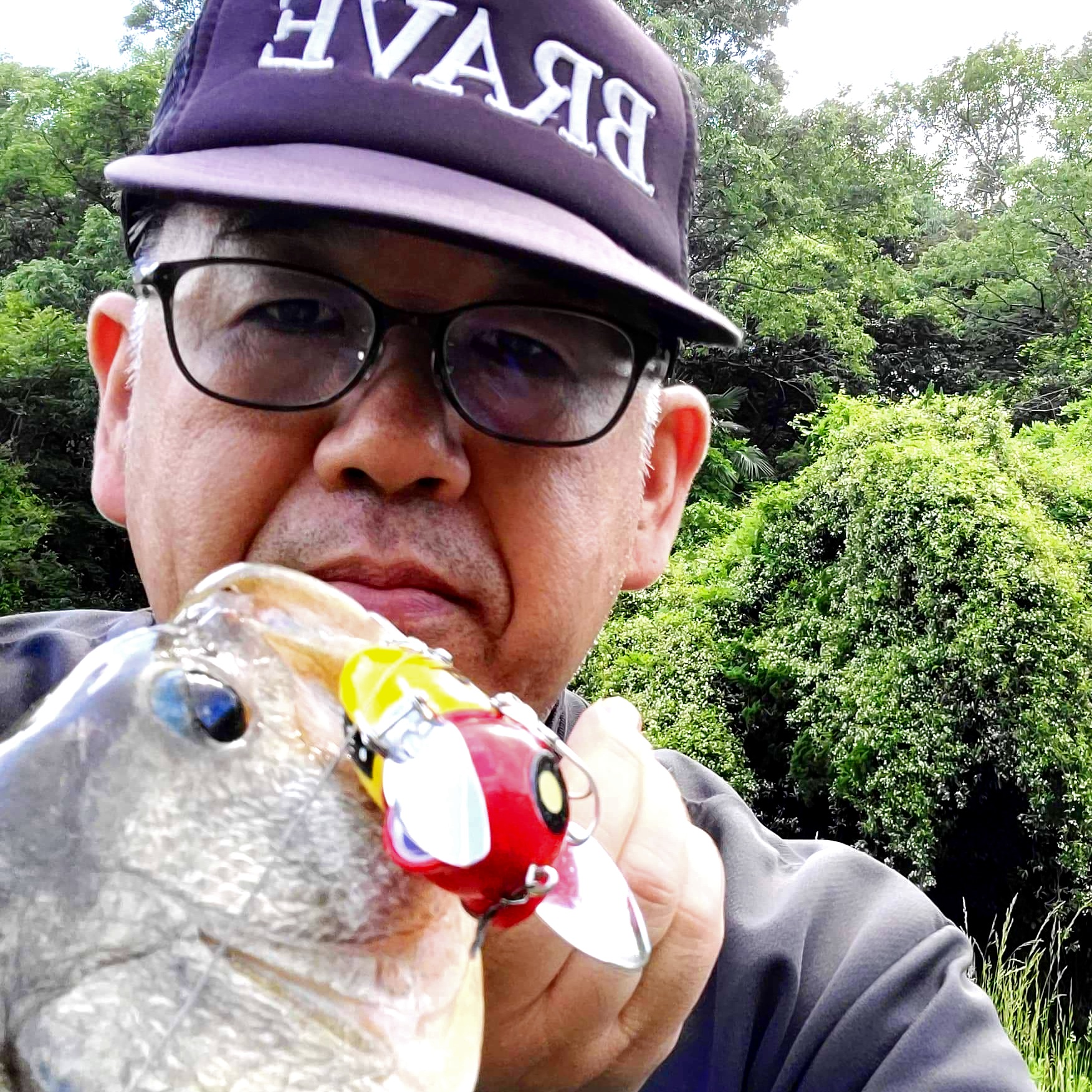 さらとが通信5月29日更新