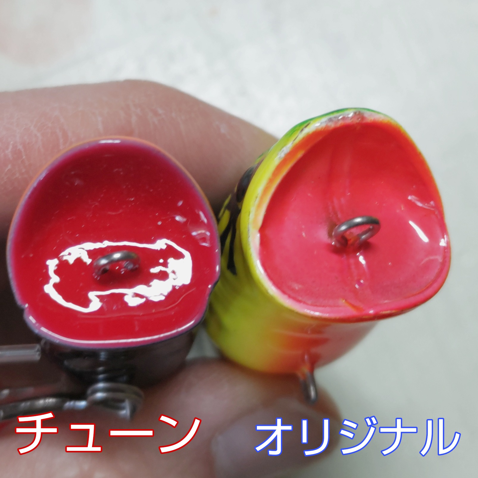 さらとが通信1月22日更新