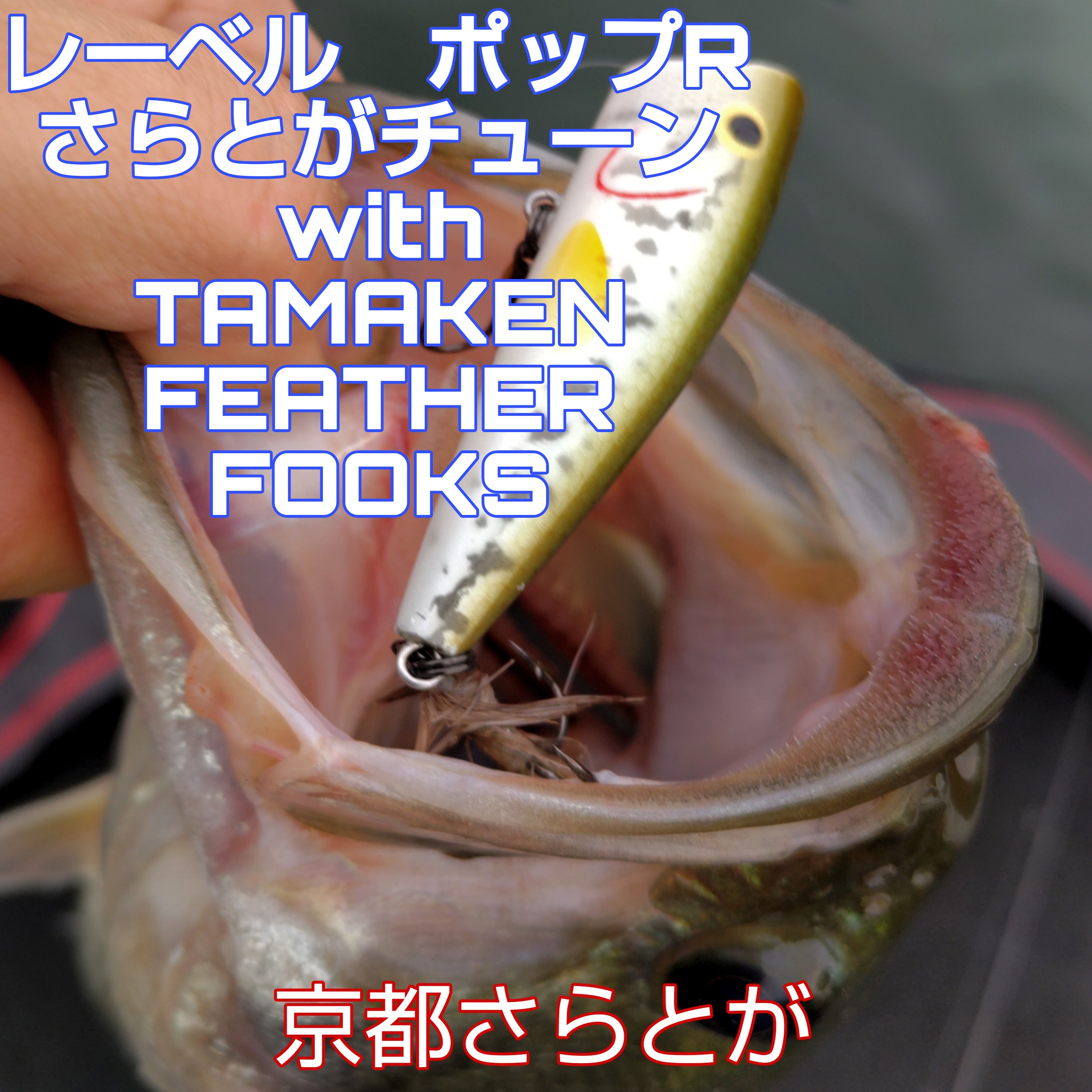 さらとが通信1月13日更新