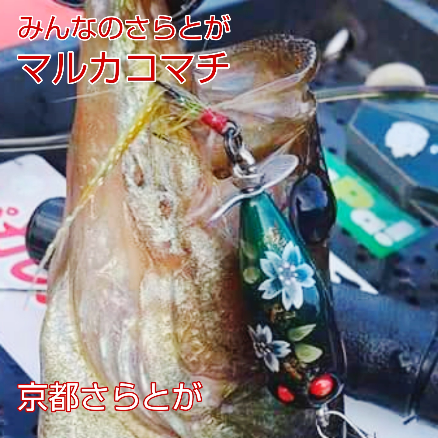 さらとが通信(みんなのさらとが)8月7日更新